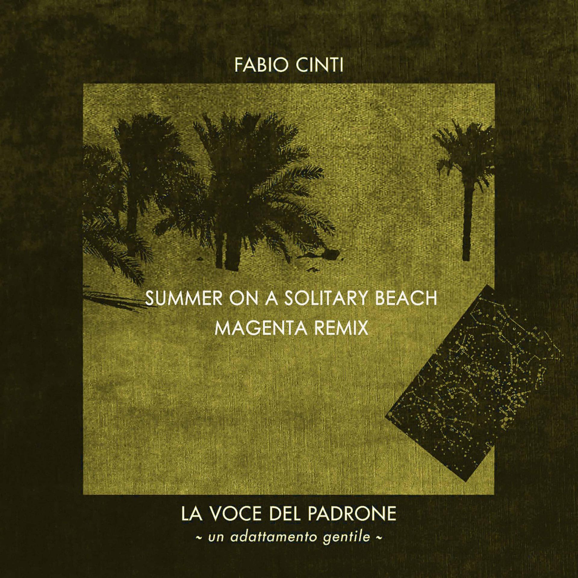 Постер альбома Summer on a Solitary Beach