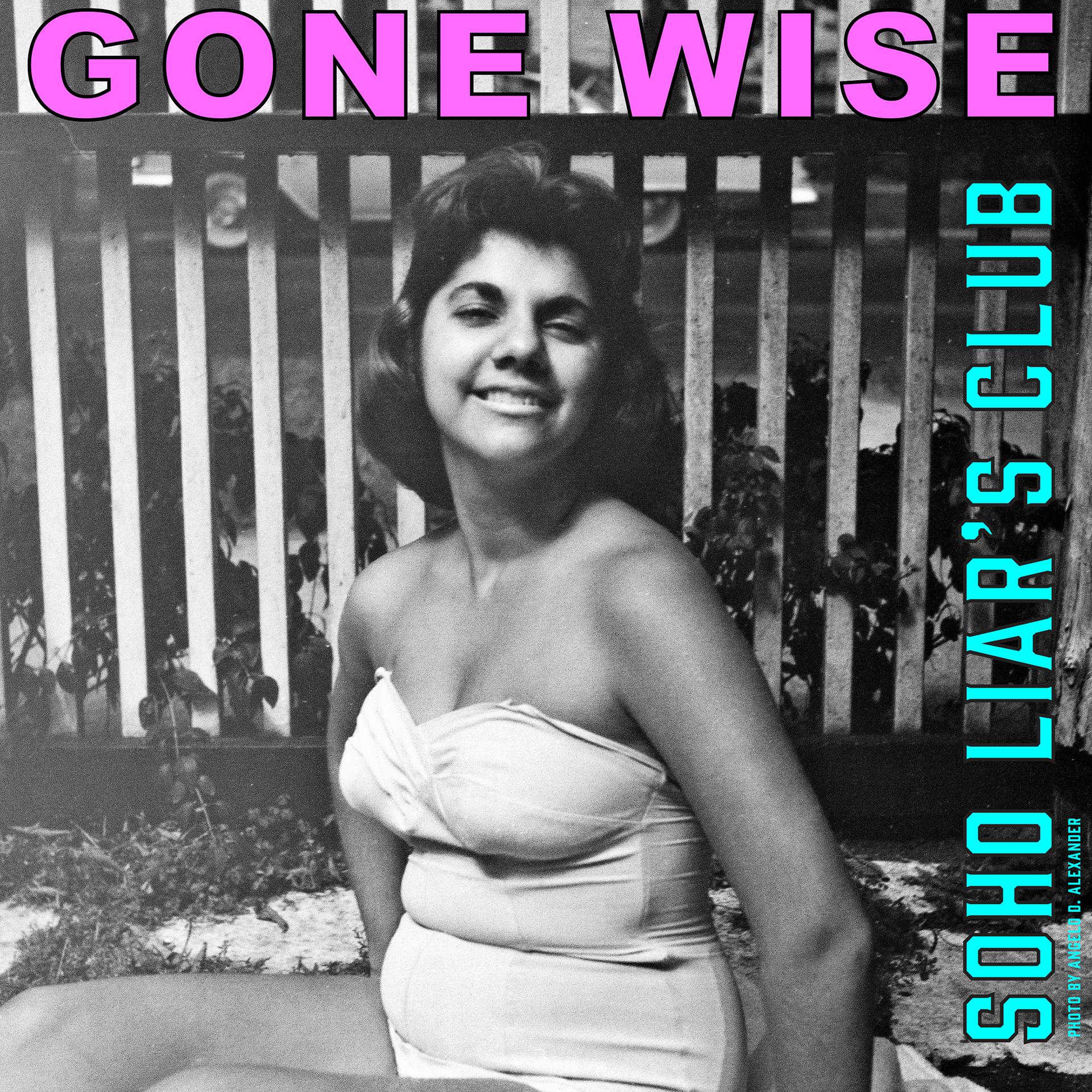 Постер альбома Gone Wise (feat. Miss Alex White & J. Ivy)