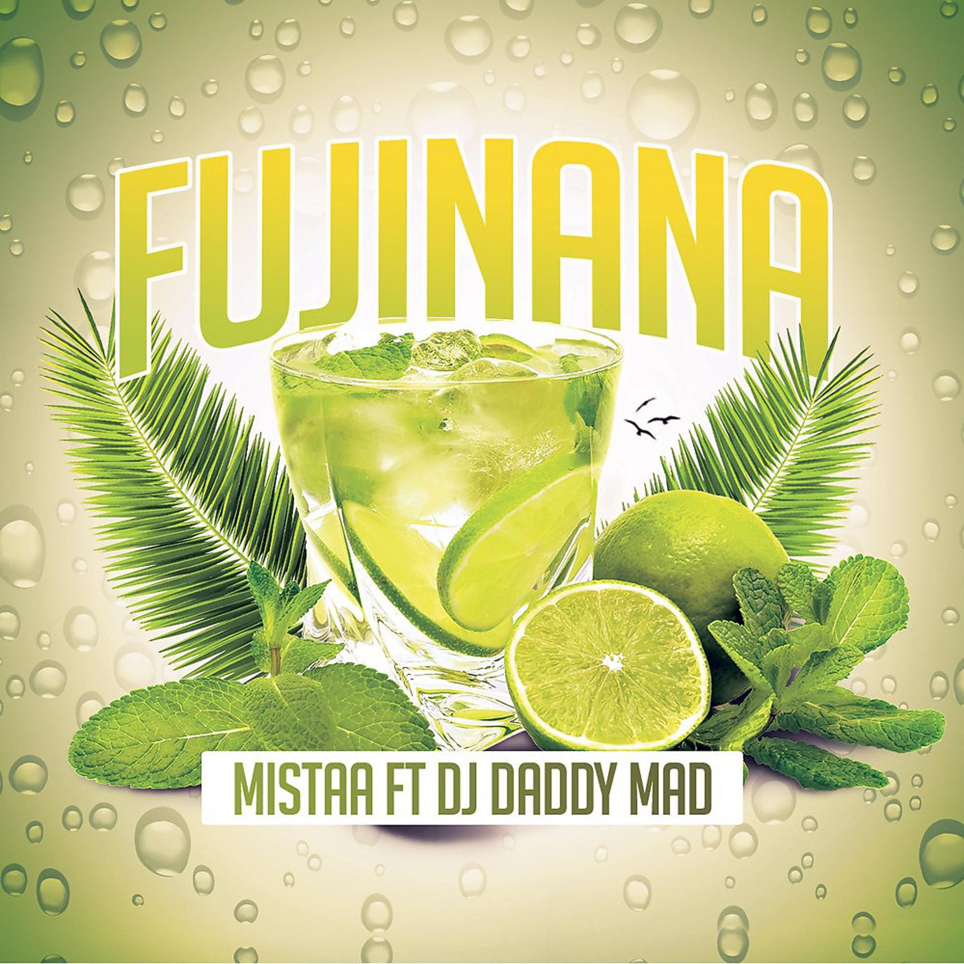 Постер альбома Fujinana (Radio edit)