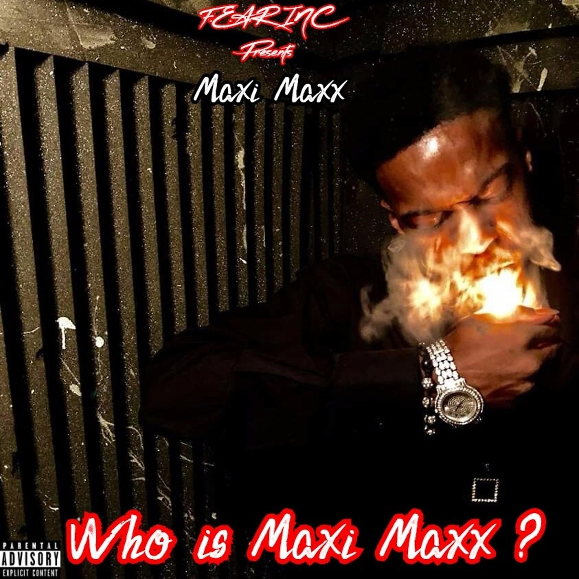 Постер альбома Who Is Maxi Maxx ?