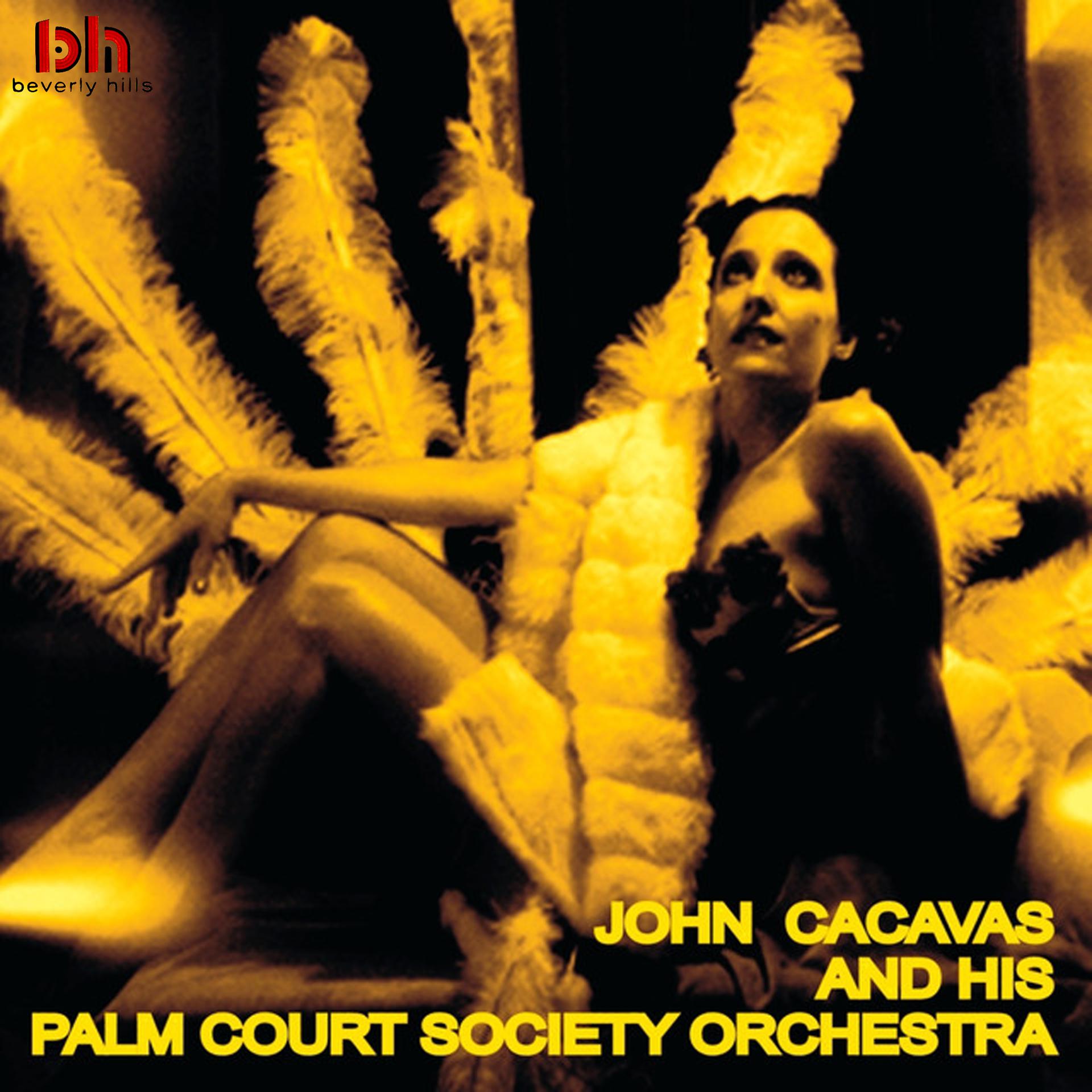 Постер альбома John Cacavas & His Palm Court