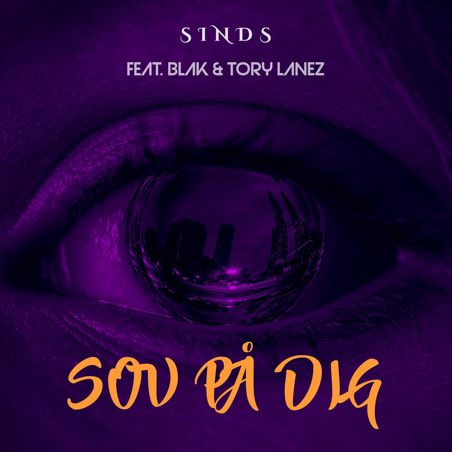 Постер альбома Sov På Dig