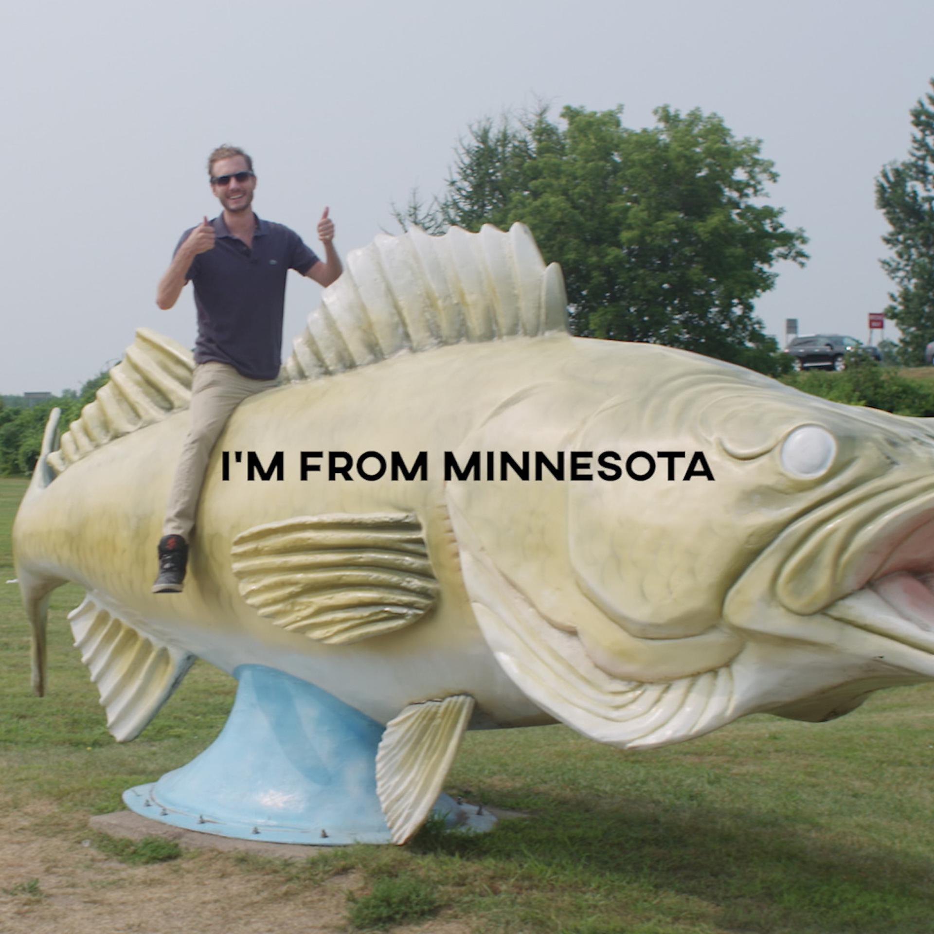 Постер альбома I'm from Minnesota