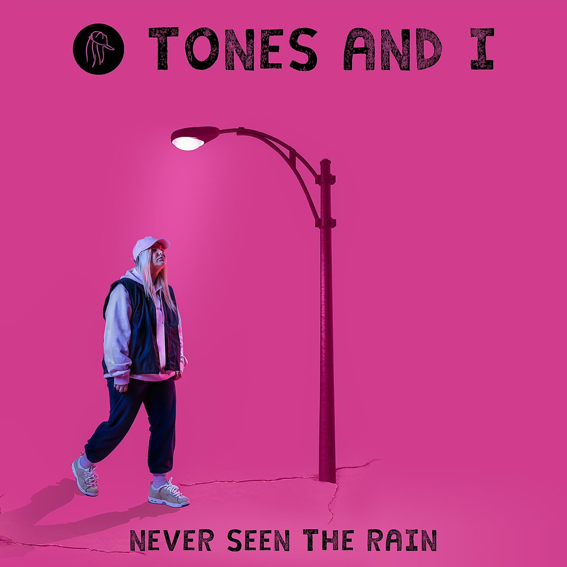 Постер альбома Never Seen The Rain