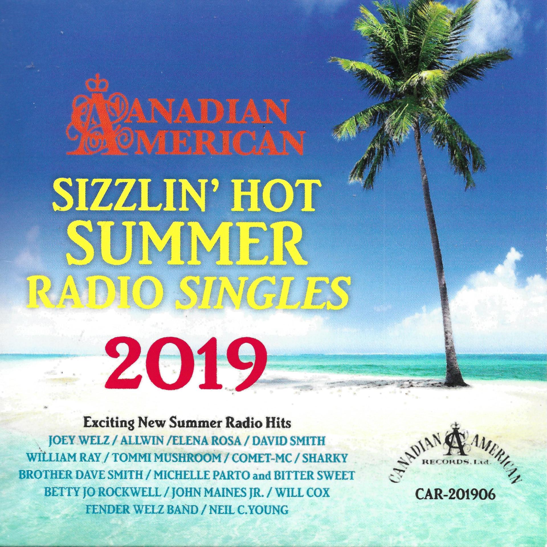 Постер альбома Sizzlin' Hot Summer Radio Singles