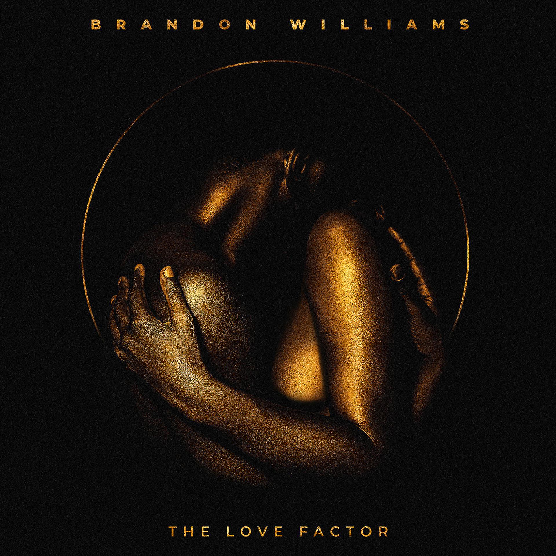 Постер альбома The Love Factor