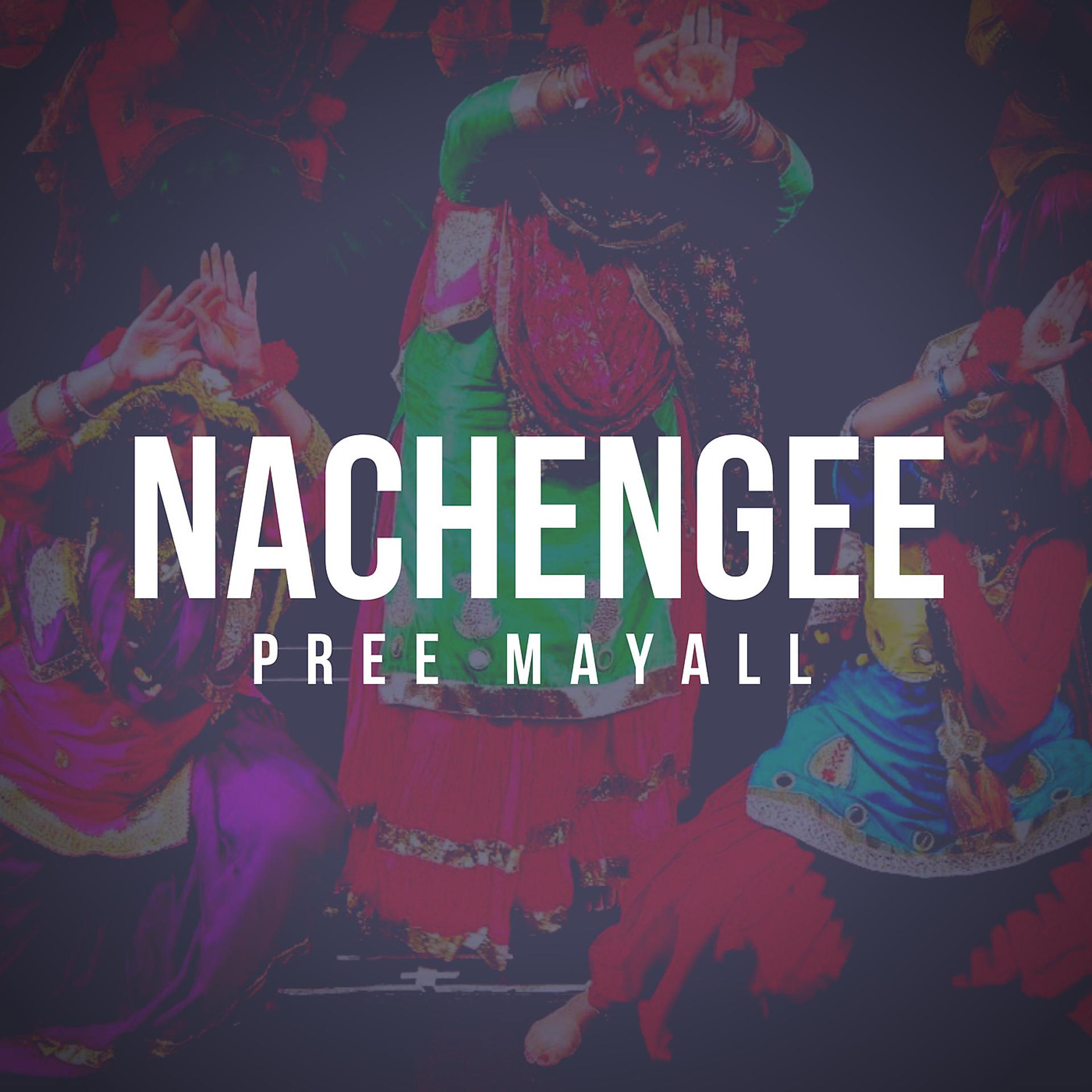 Постер альбома Nachengee