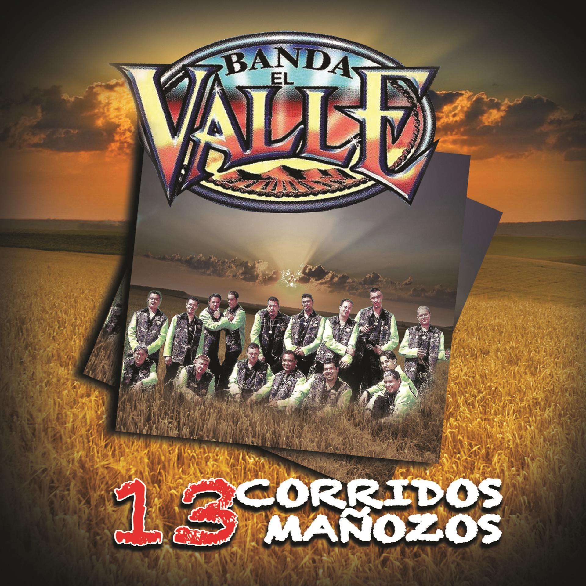 Постер альбома 13 Corridos Manozos