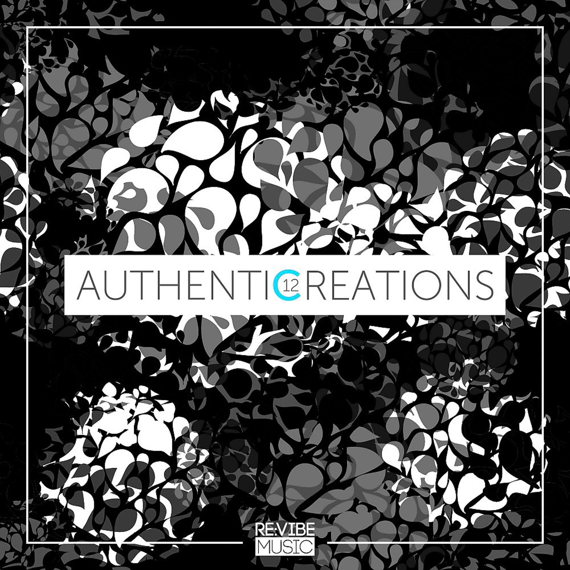 Постер альбома Authentic Creations Issue 12