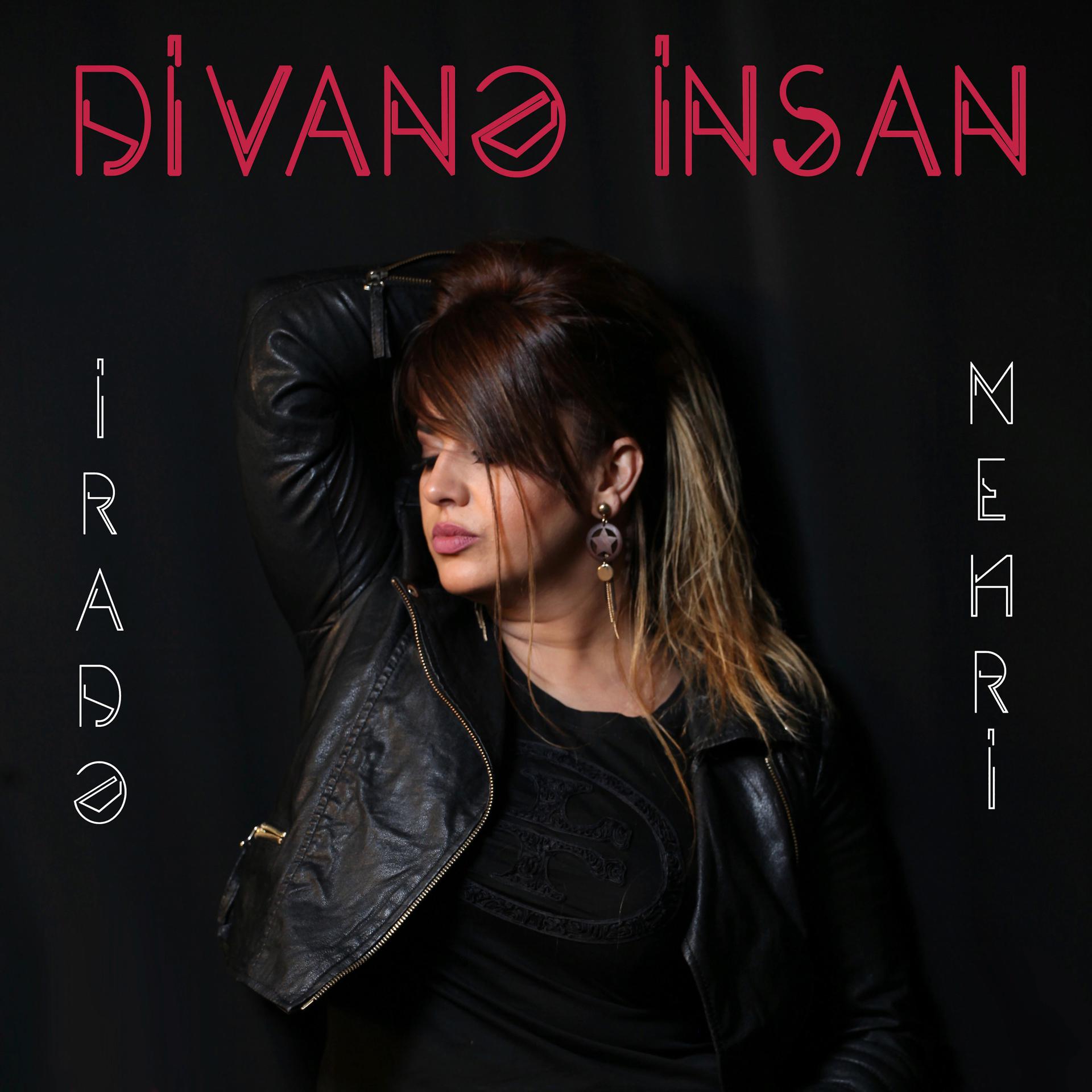 Постер альбома Divane Insan