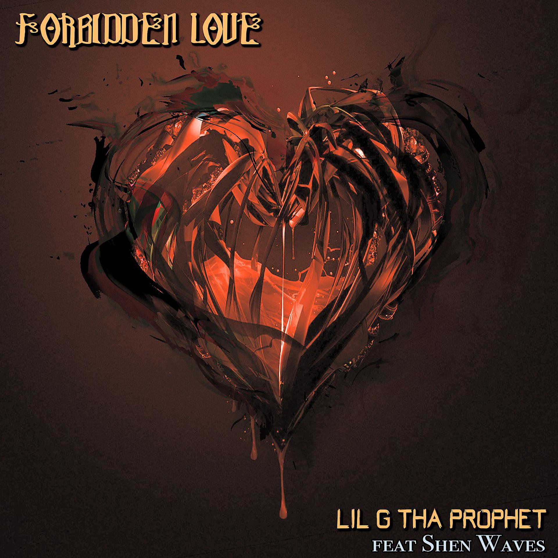 Постер альбома Forbidden Love (feat. Shen Waves)