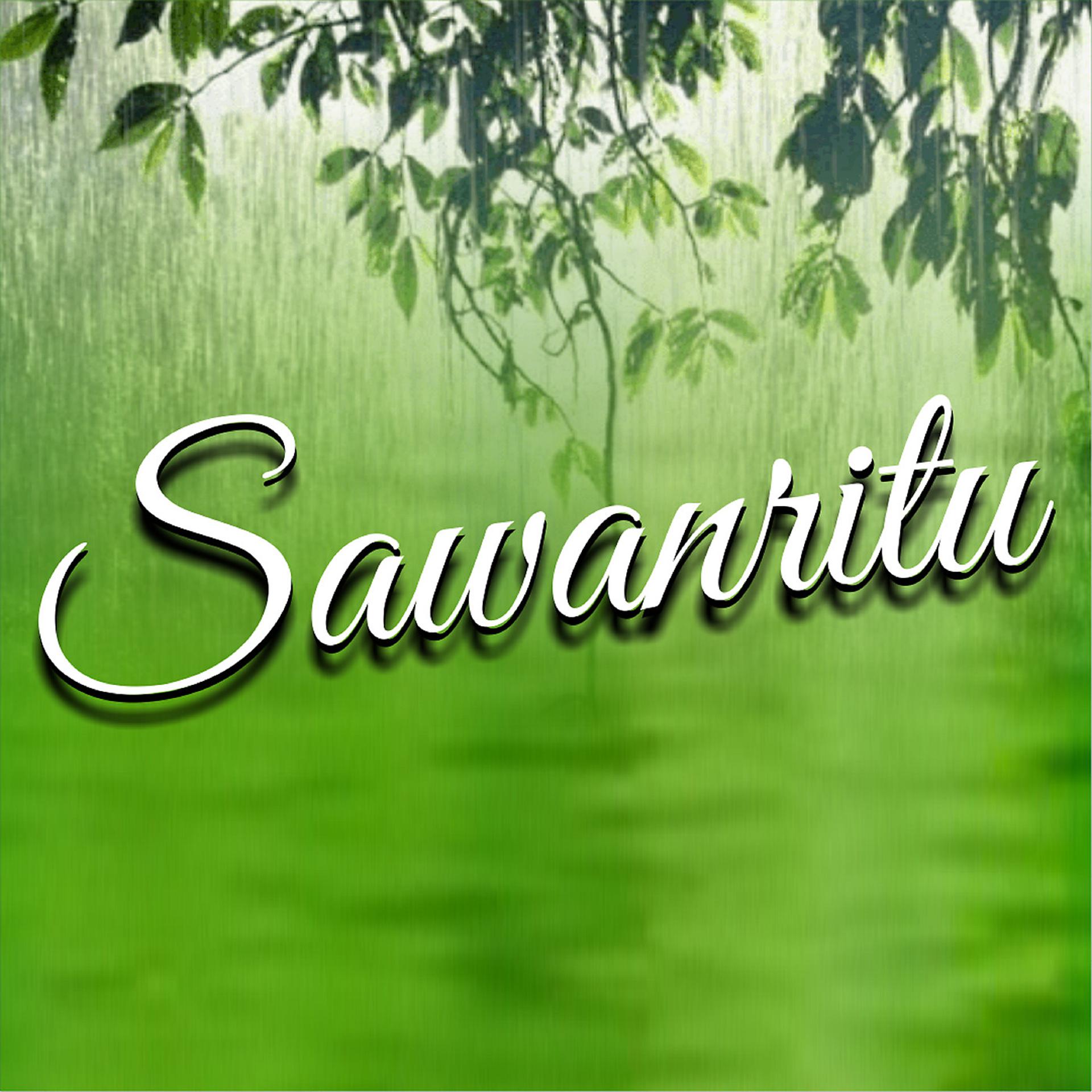 Постер альбома Sawanritu