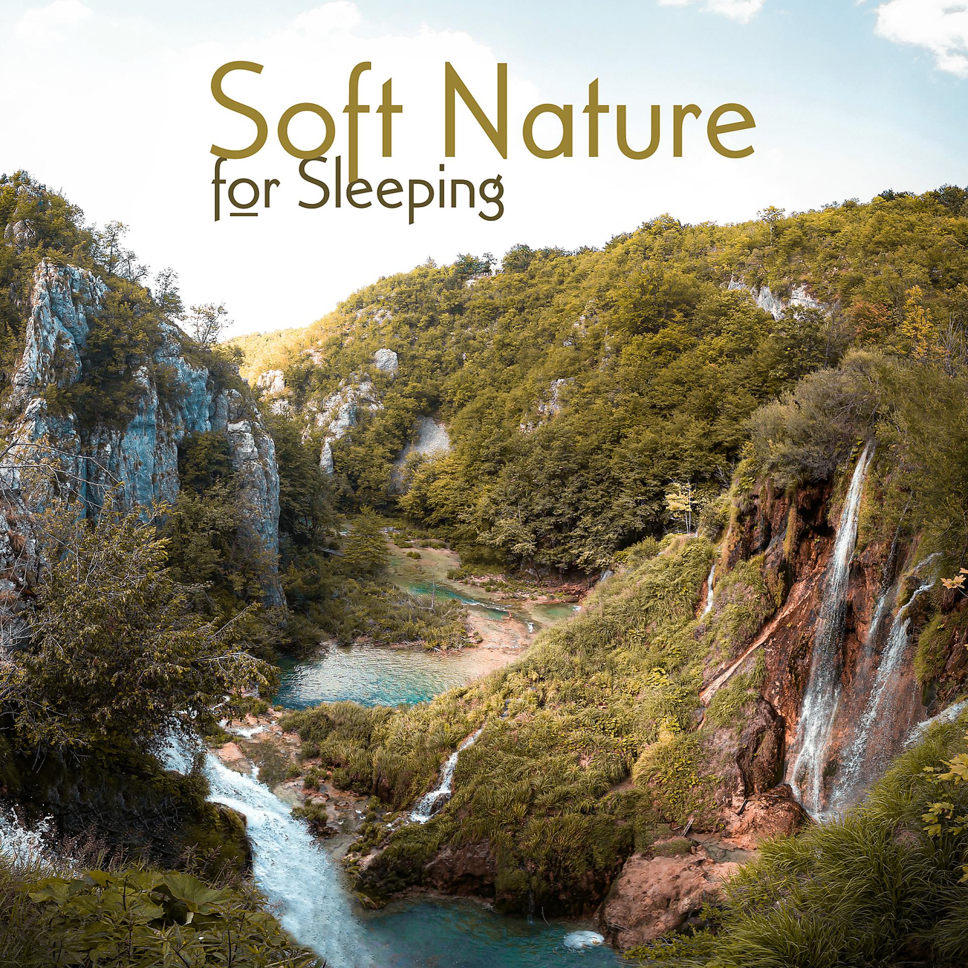 Постер альбома Soft Nature for Sleeping: Music Therapy, Stress Relief, Effective Sleep Session