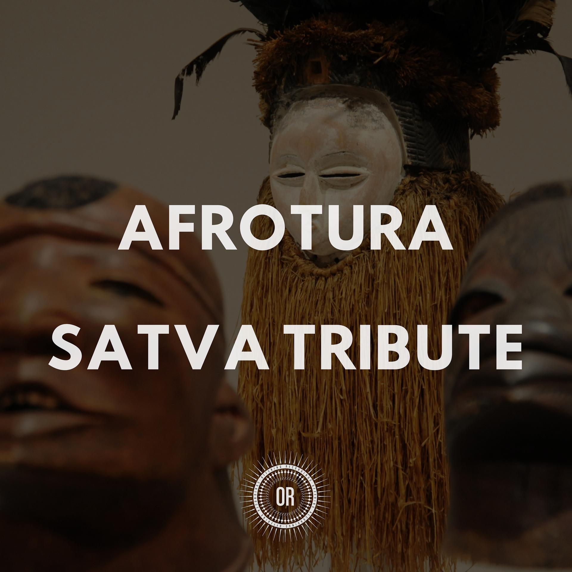 Постер альбома Satva Tribute