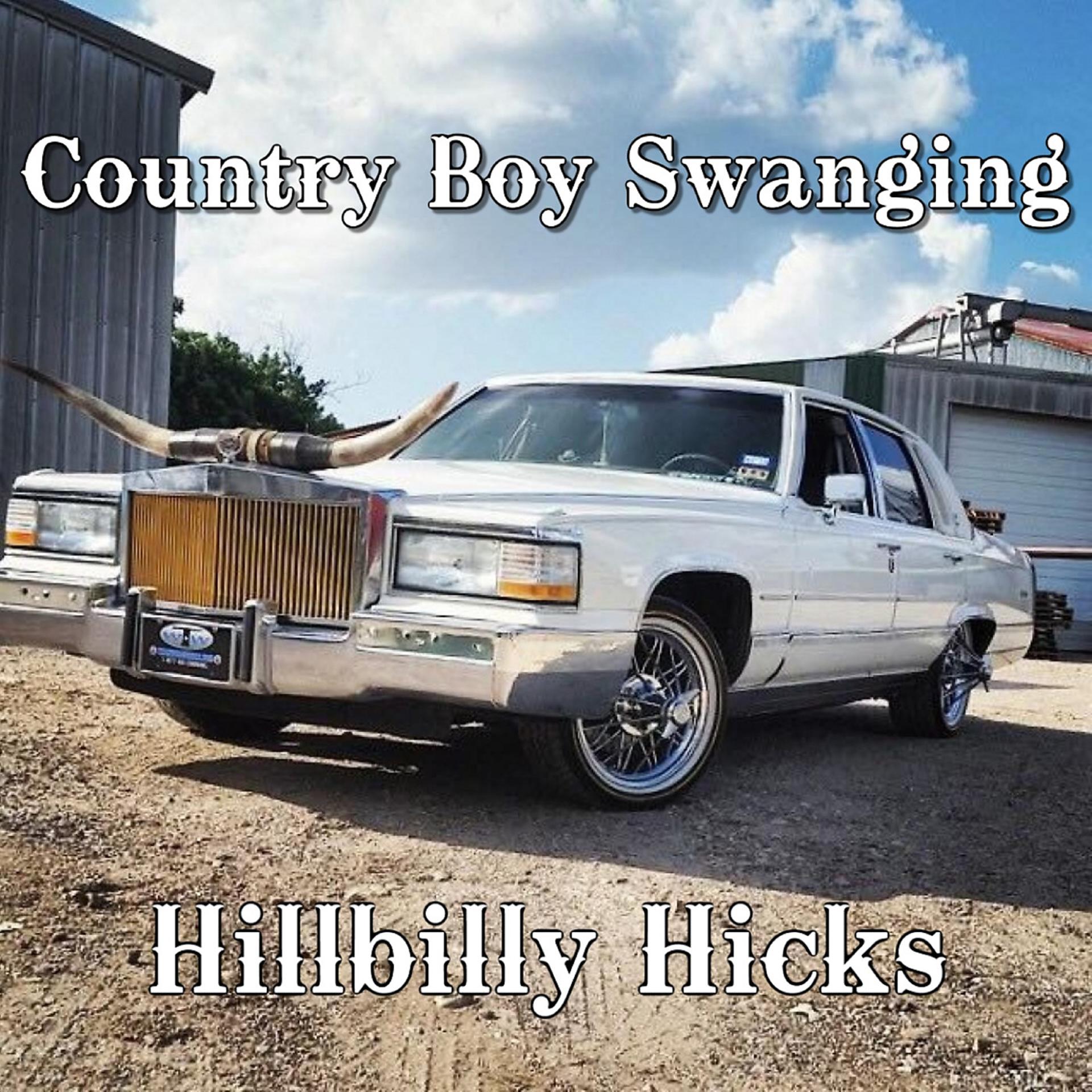 Постер альбома Country Boy Swanging