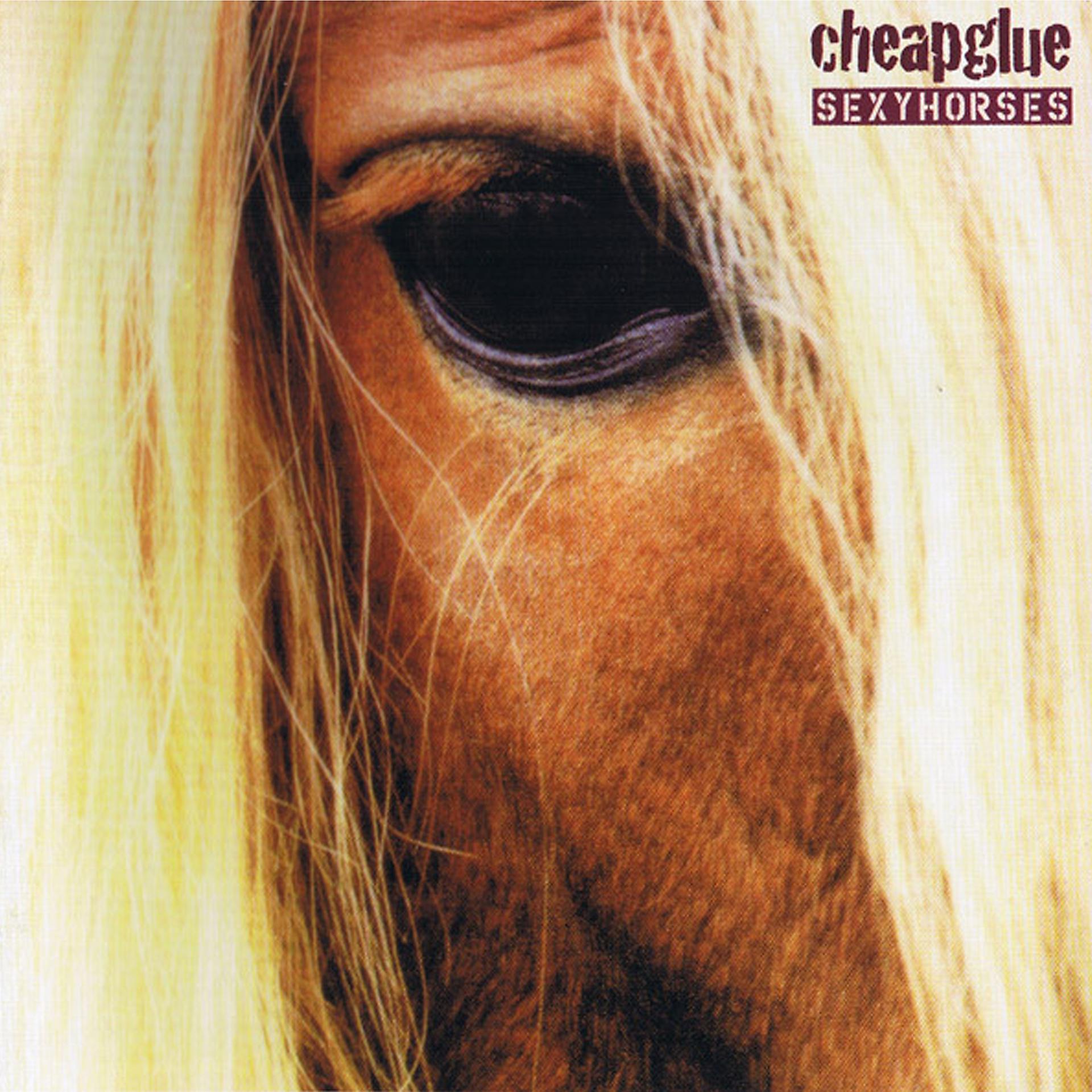 Постер альбома Sexyhorses