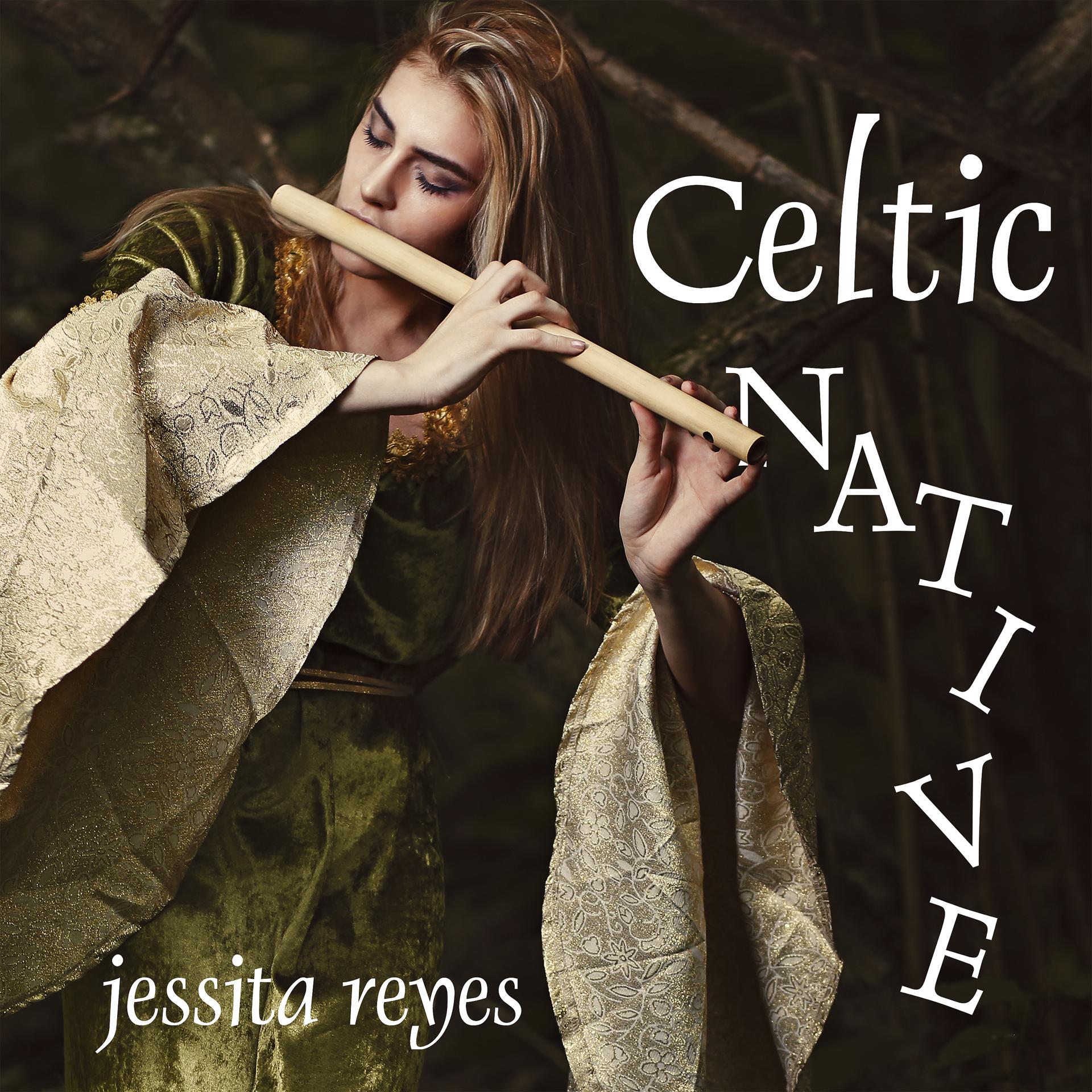 Постер альбома Celtic Native