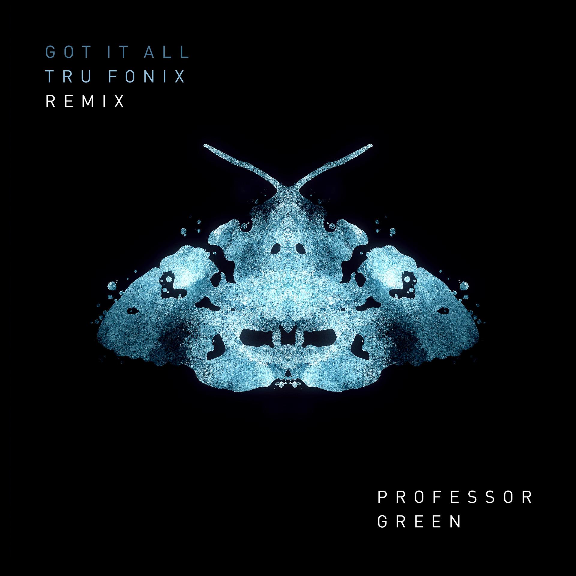 Постер альбома Got It All (Tru Fonix Remix)