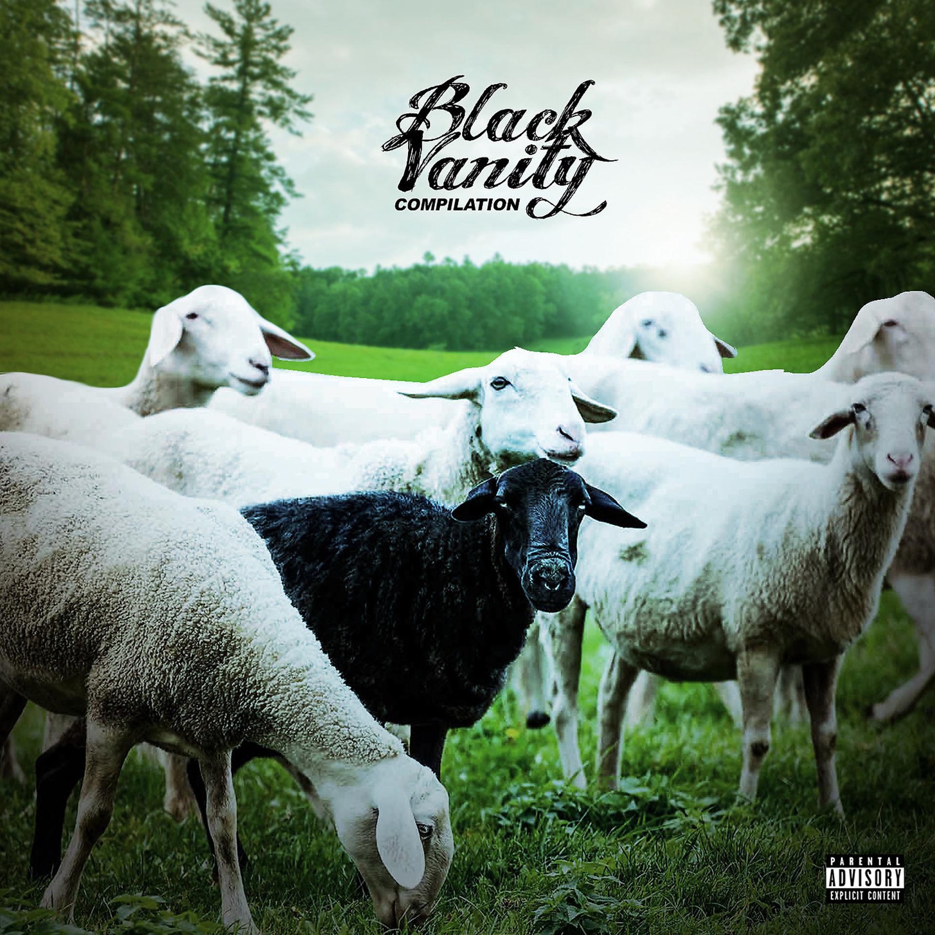 Постер альбома Black Vanity (Compilation)