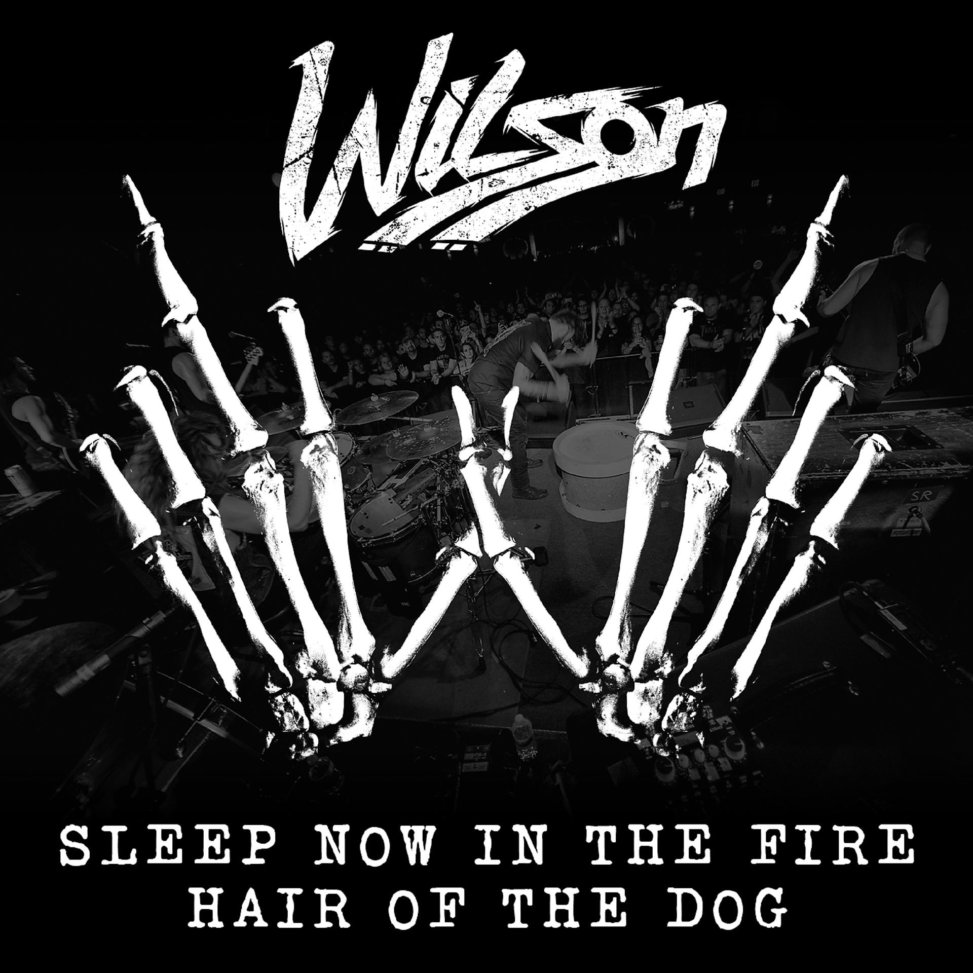 Постер альбома Sleep Now In The Fire / Hair Of The Dog