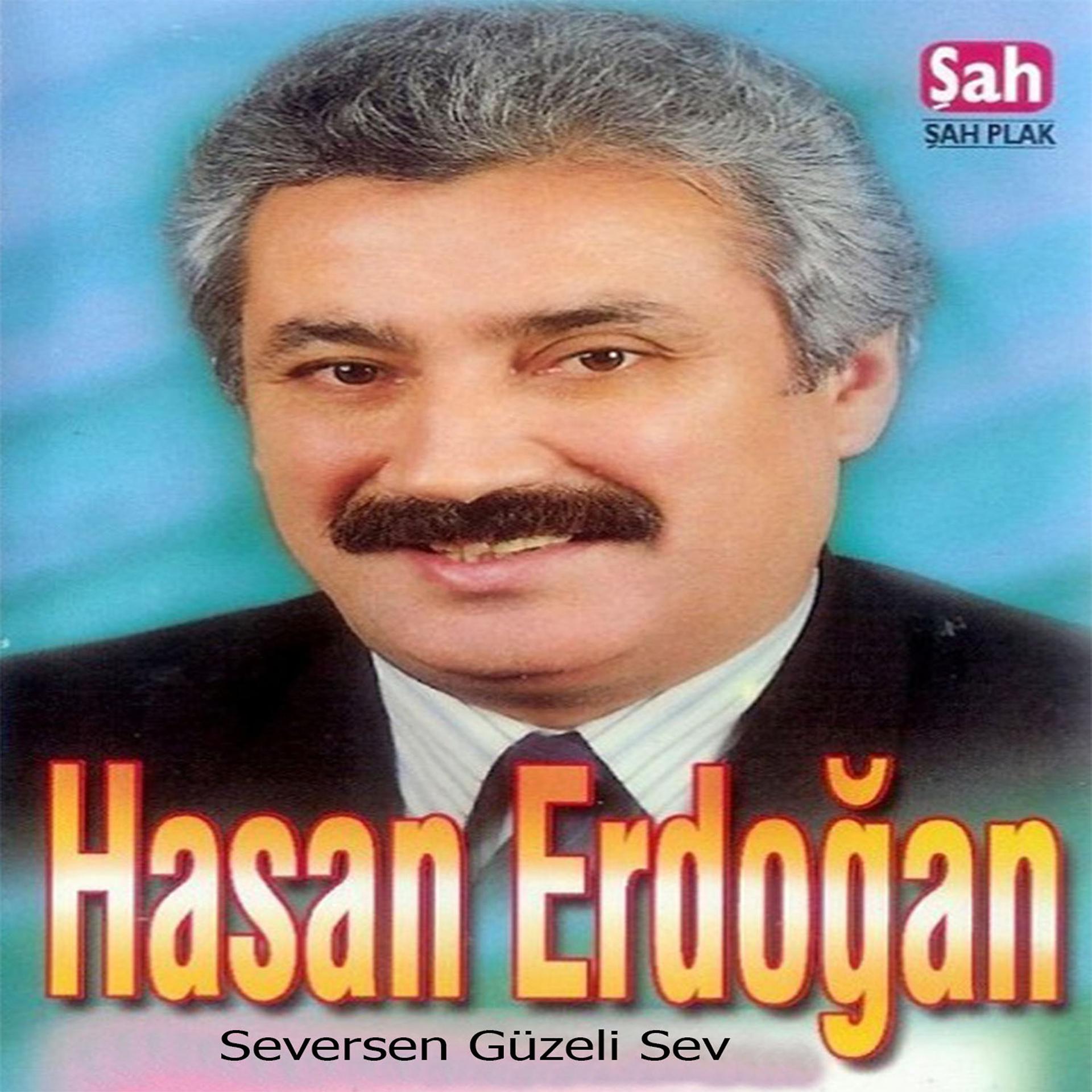 Постер альбома Seversen Güzeli Sev