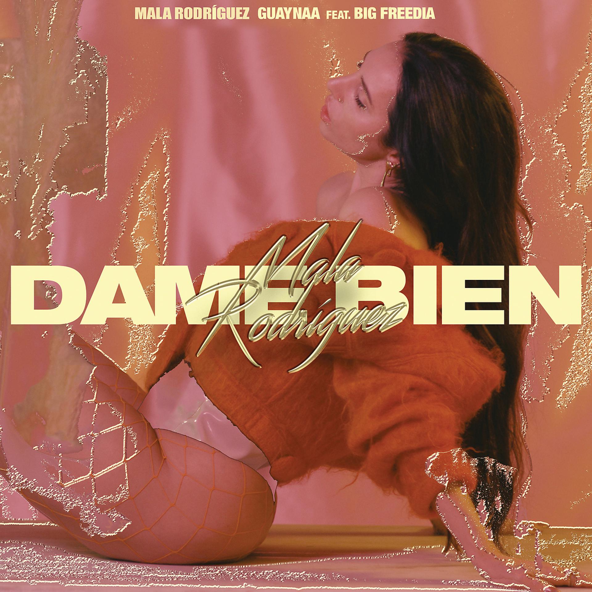 Постер альбома Dame Bien