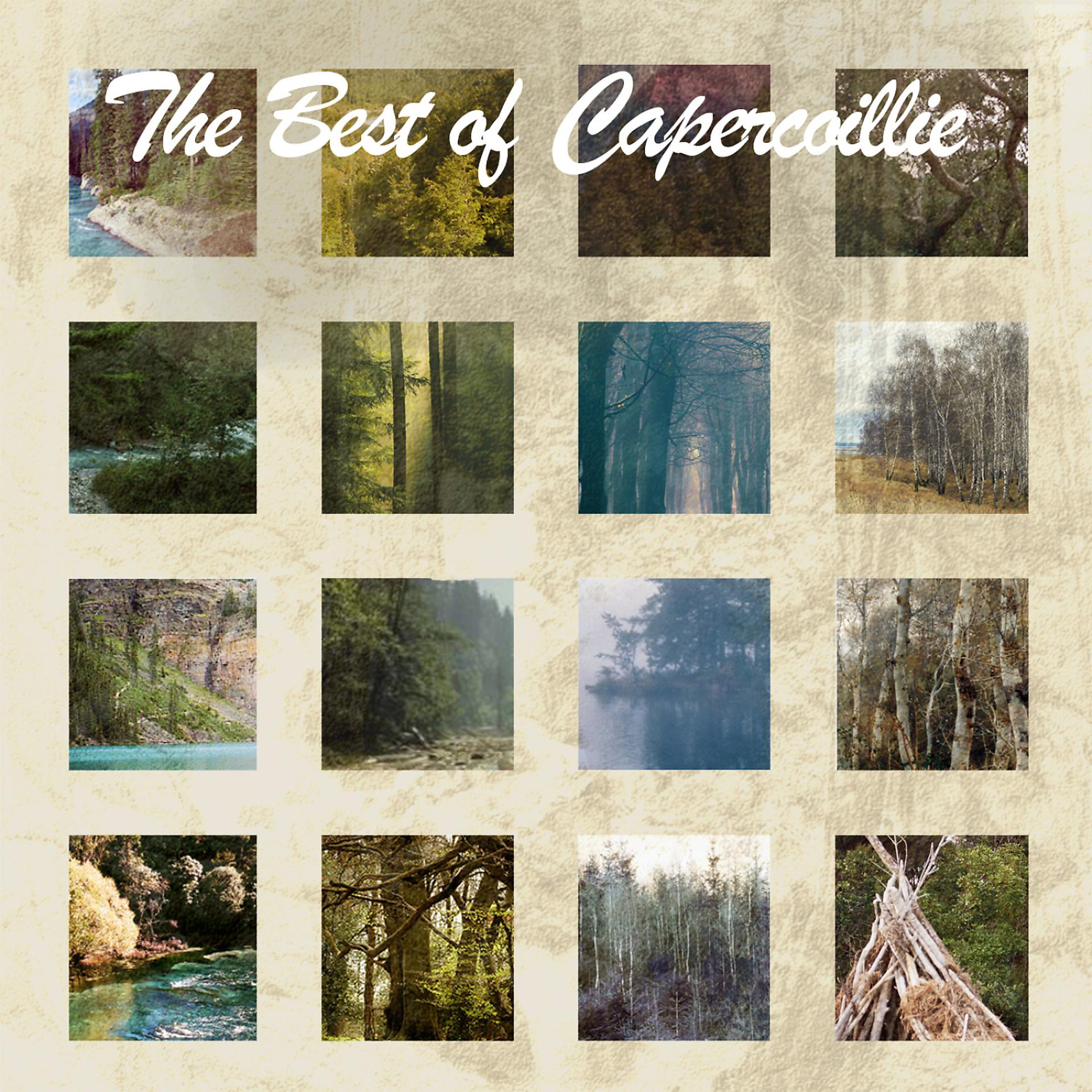 Постер альбома The Best Of Capercaillie