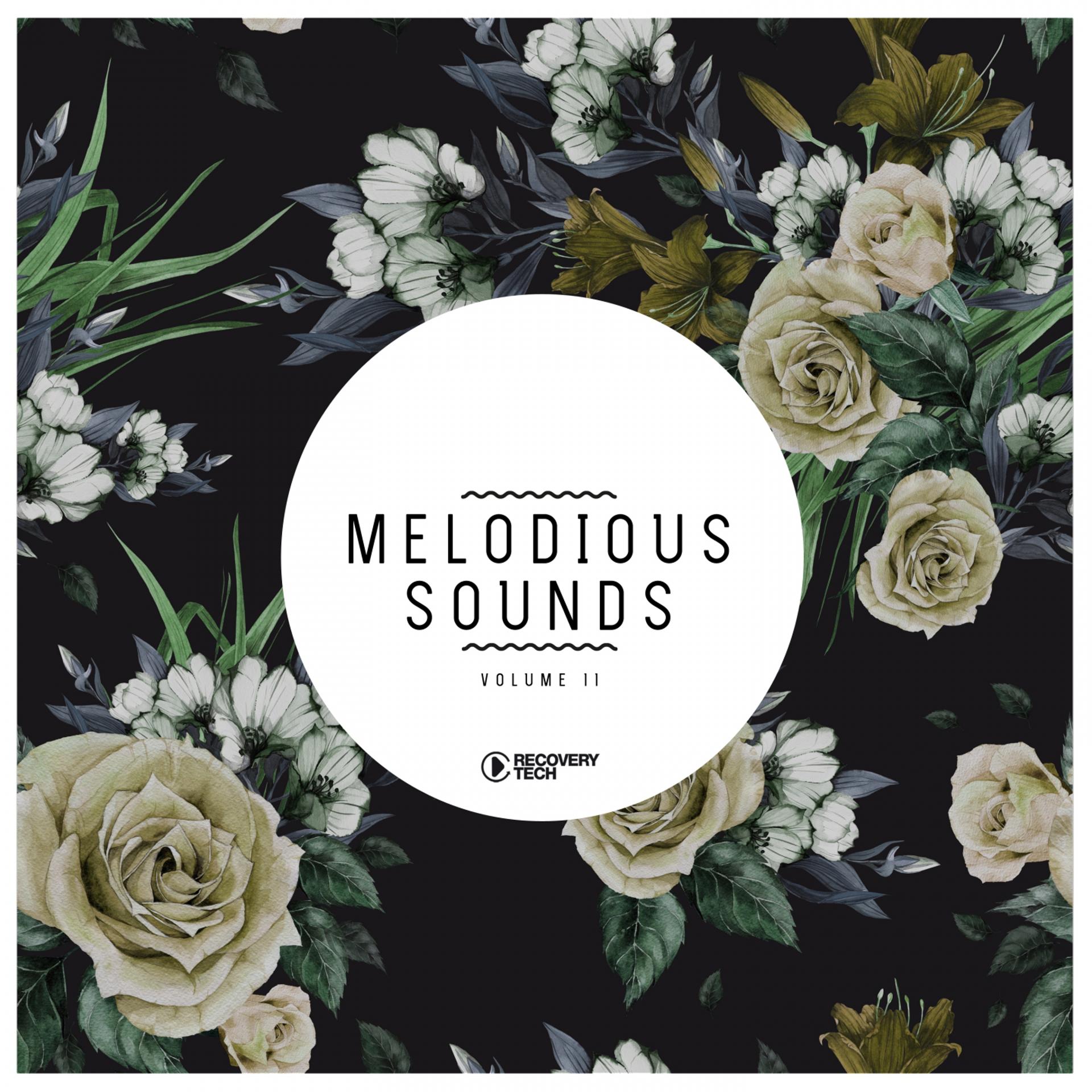 Постер альбома Melodious Sounds, Vol. 11