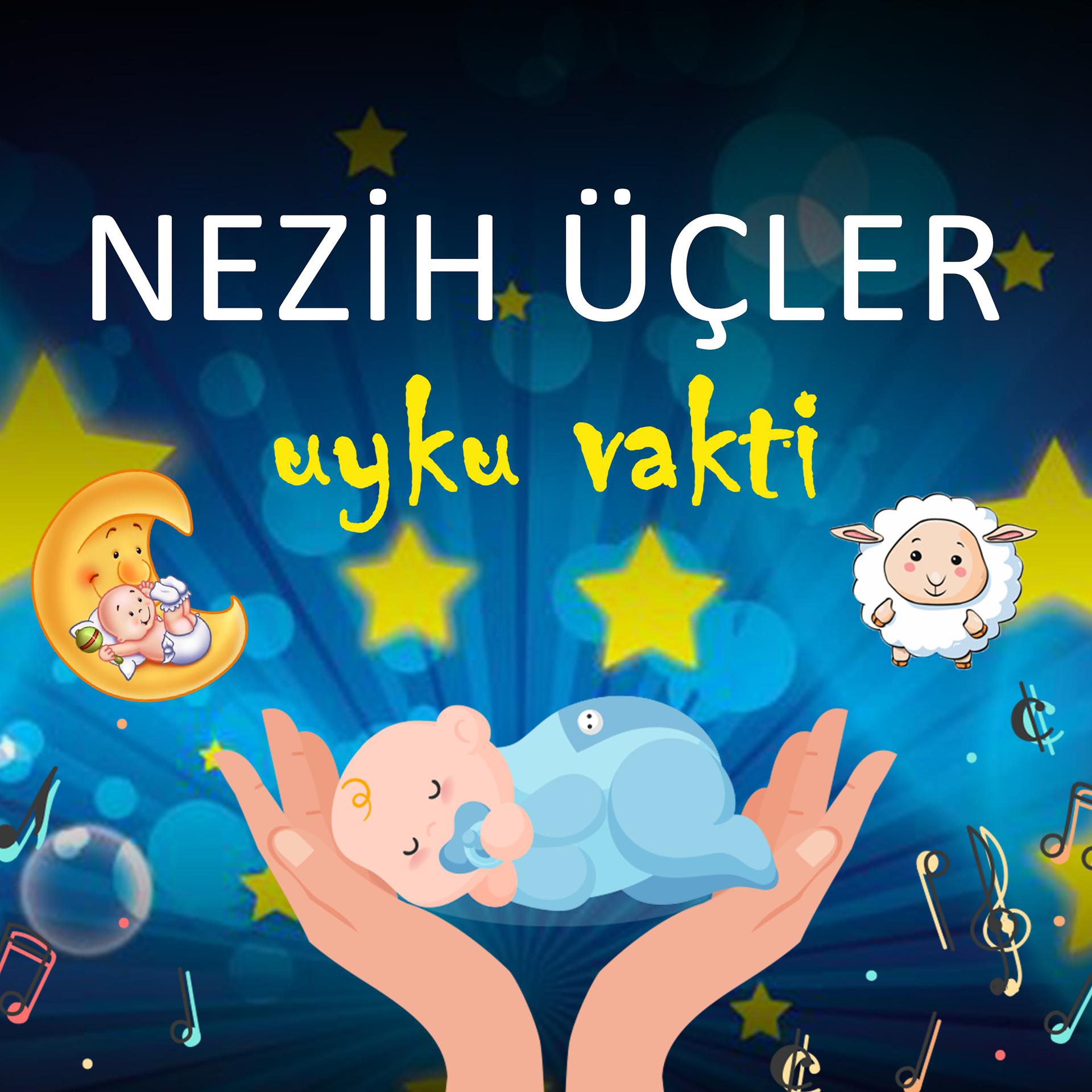 Постер альбома Uyku Vakti