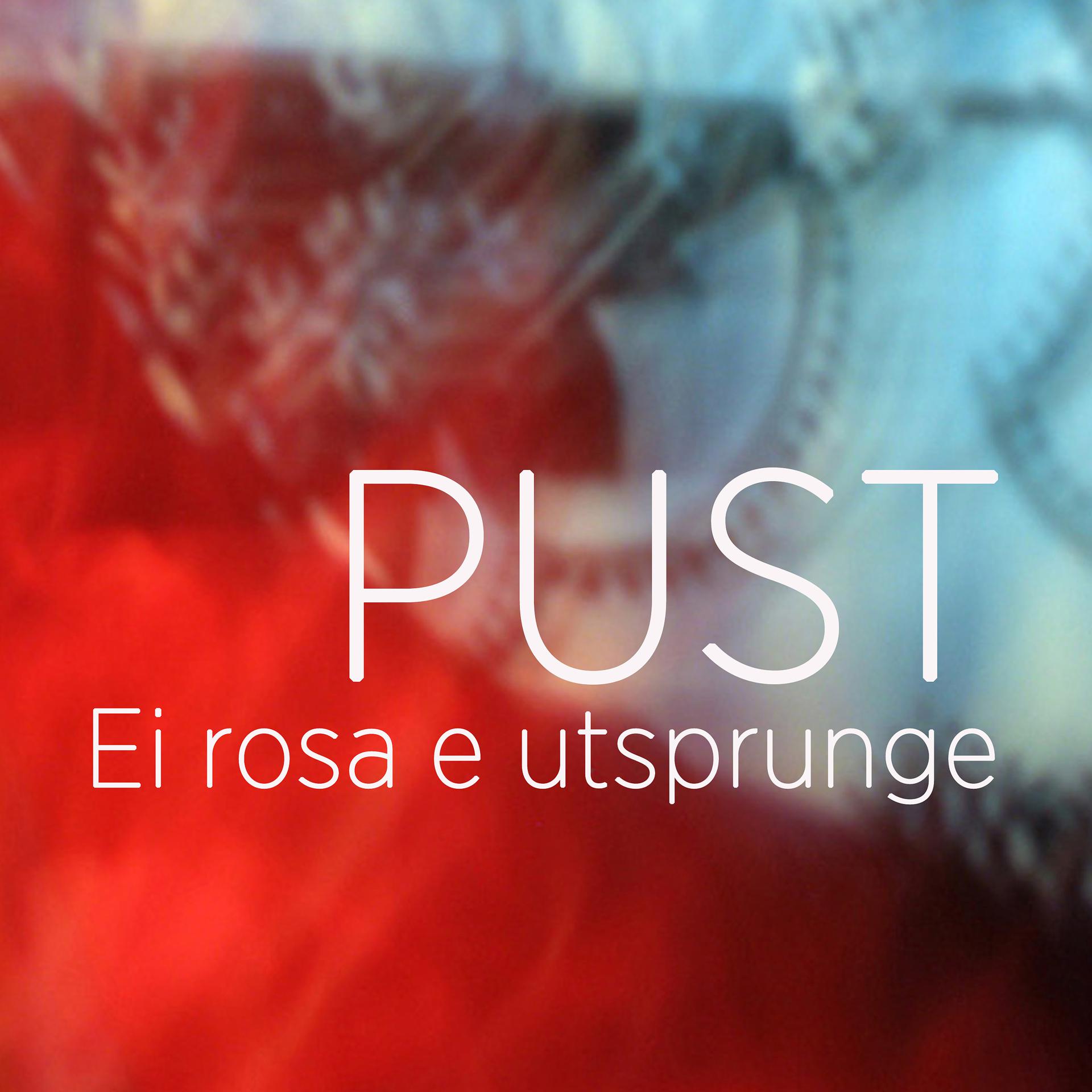 Постер альбома Ei rosa e utsprunge