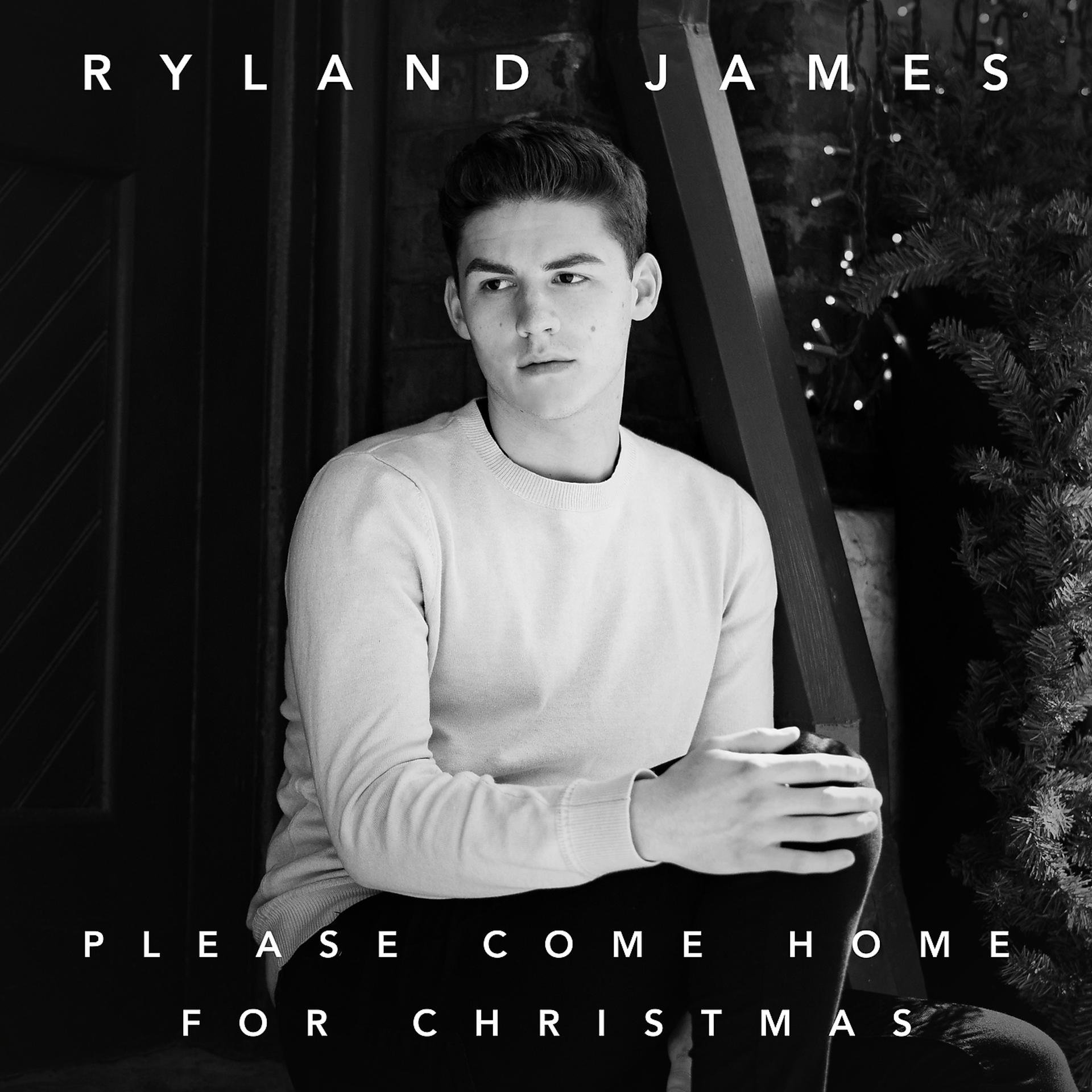 Постер альбома Please Come Home For Christmas