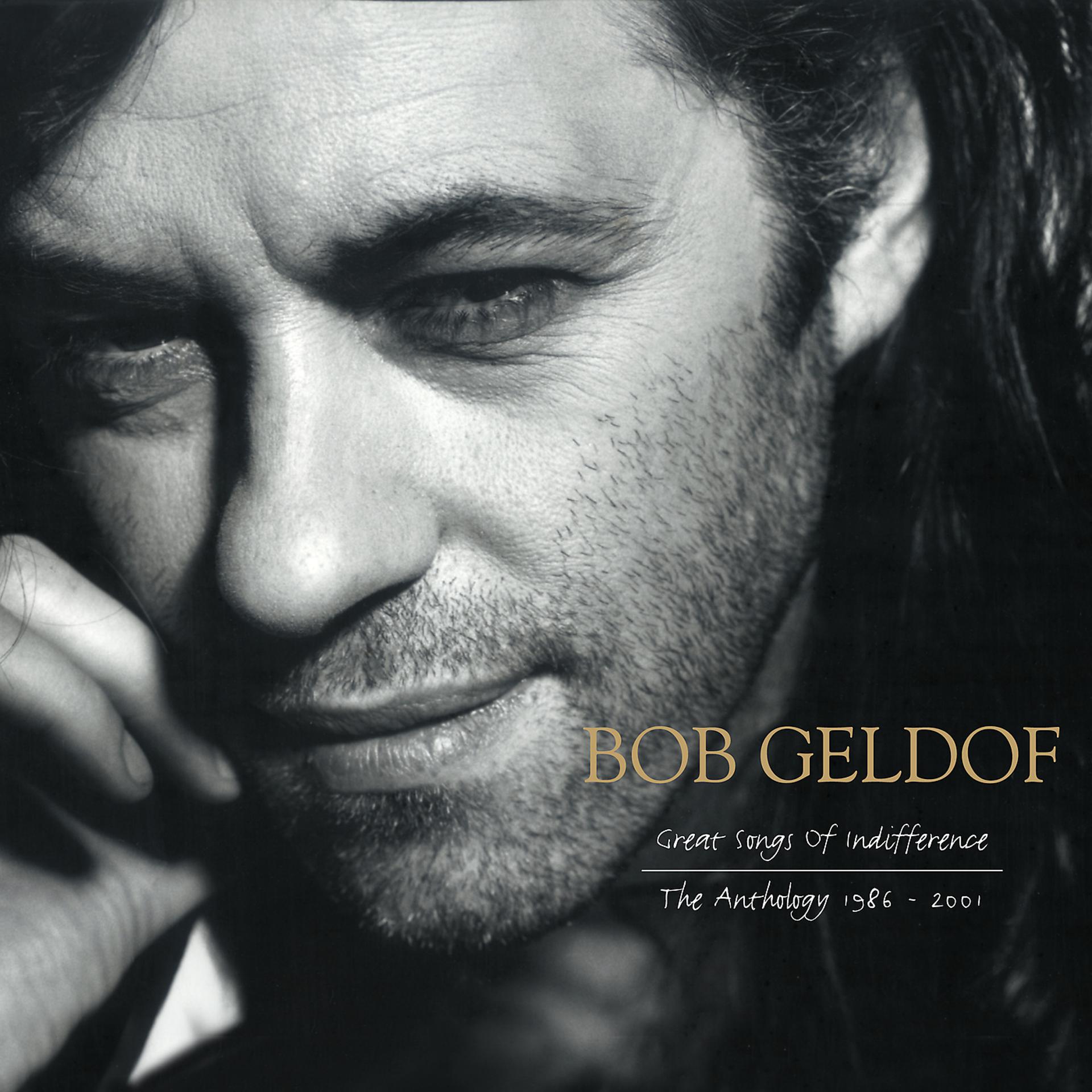 Постер альбома Great Songs Of Indifference: The Bob Geldof Anthology 1986-2001