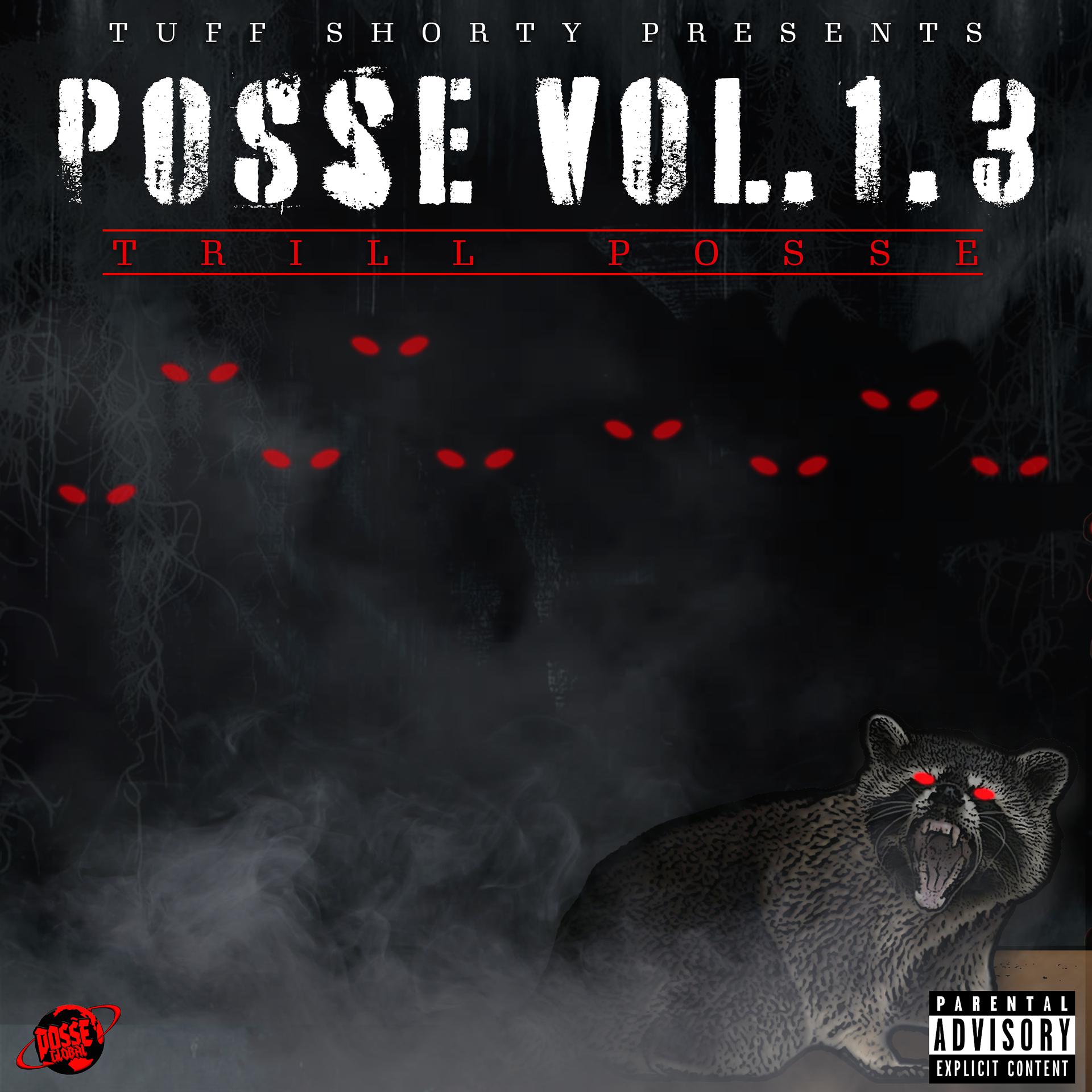 Постер альбома Posse Vol. 1.3 Trill Posse