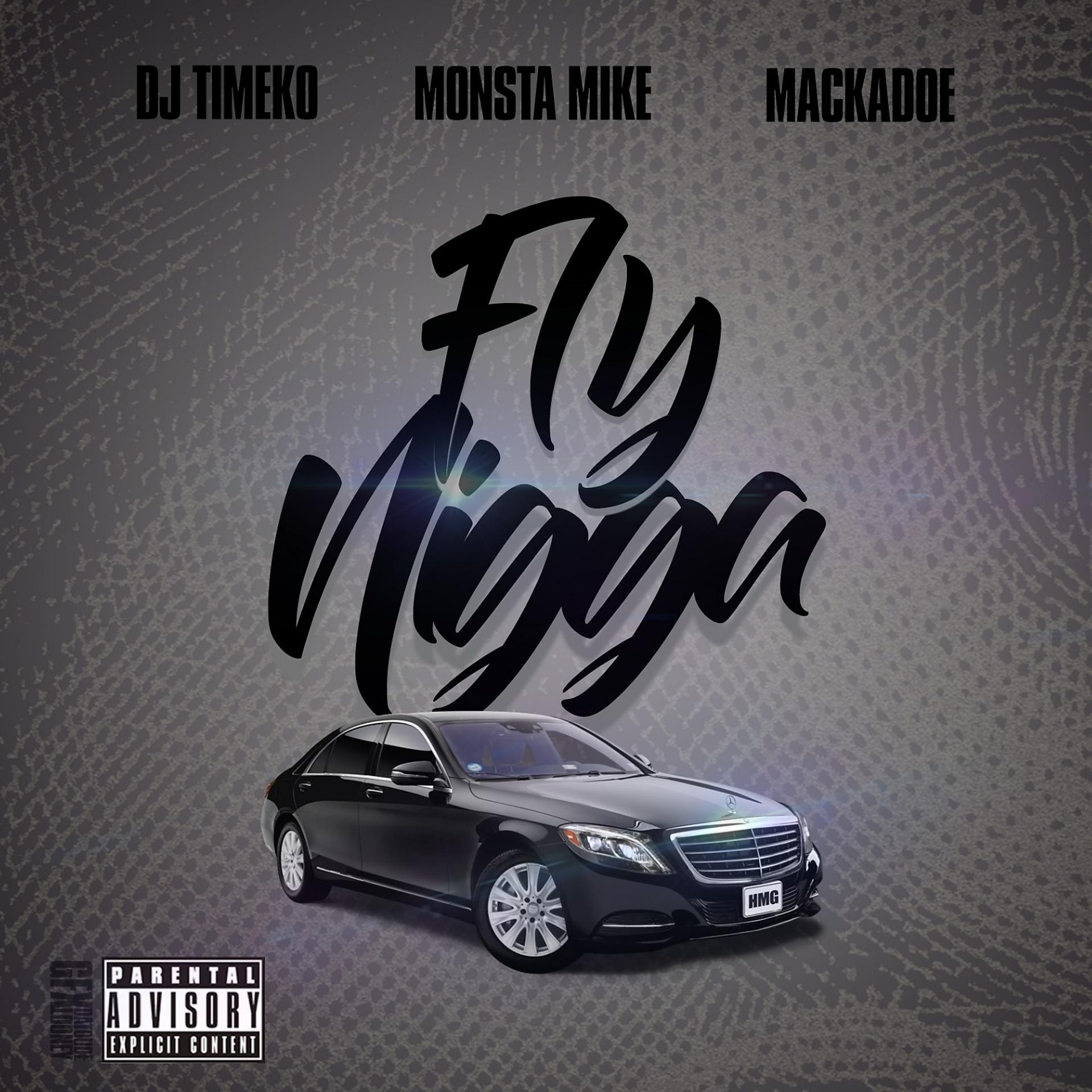Постер альбома Fly Nigga
