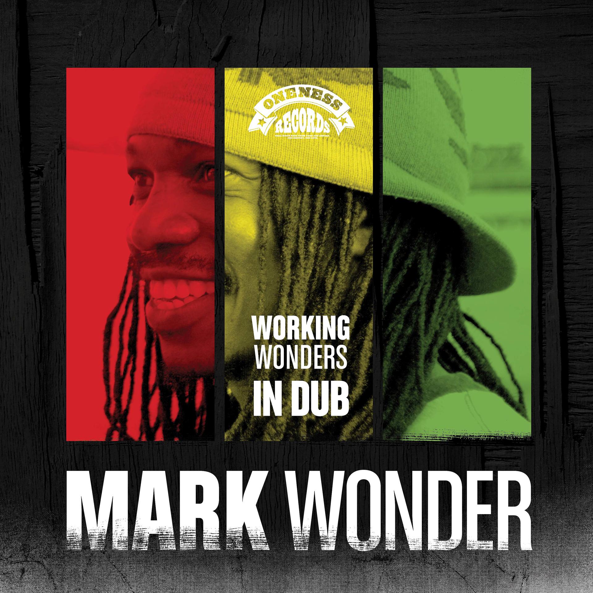 Постер альбома Working Wonders in Dub