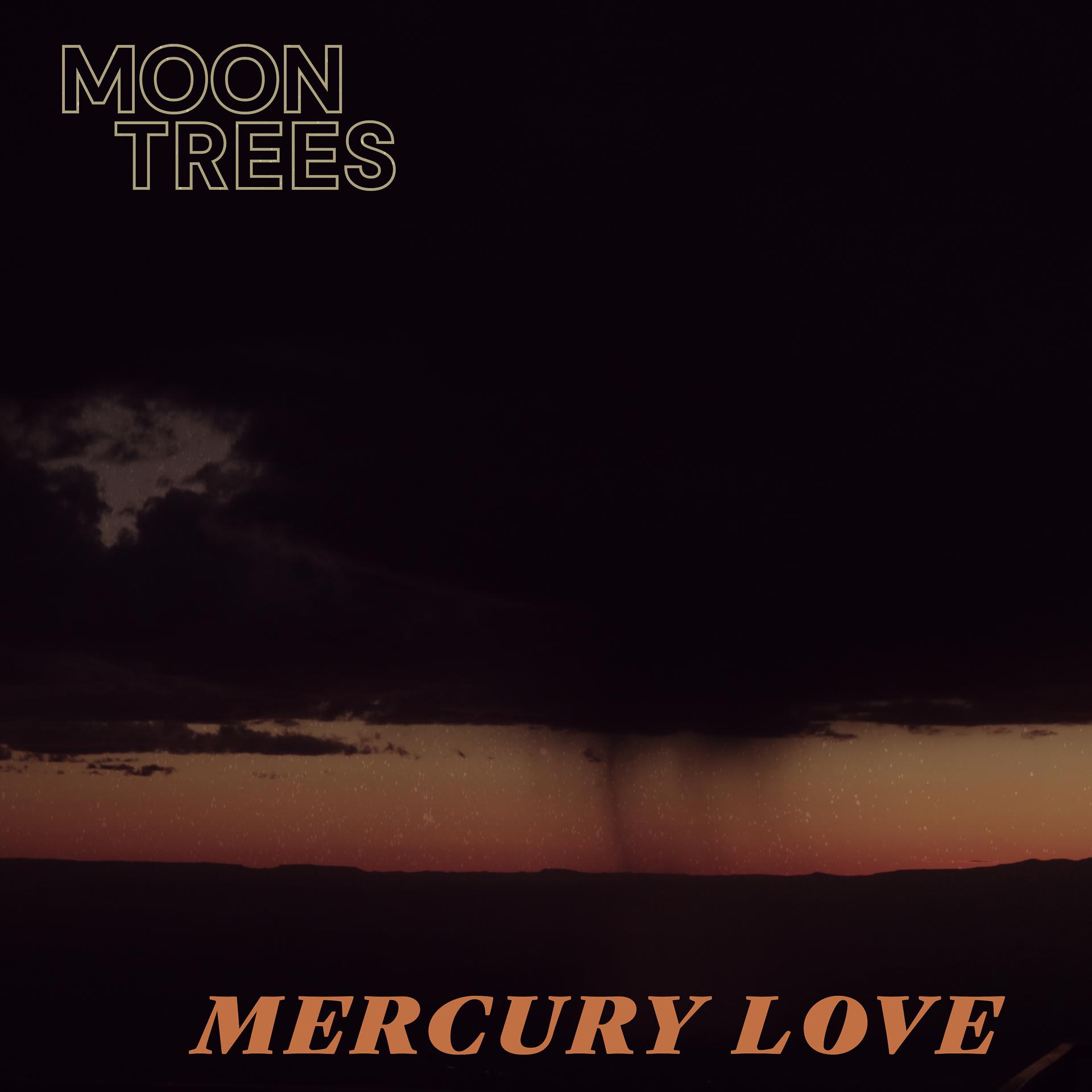 Постер альбома Mercury Love