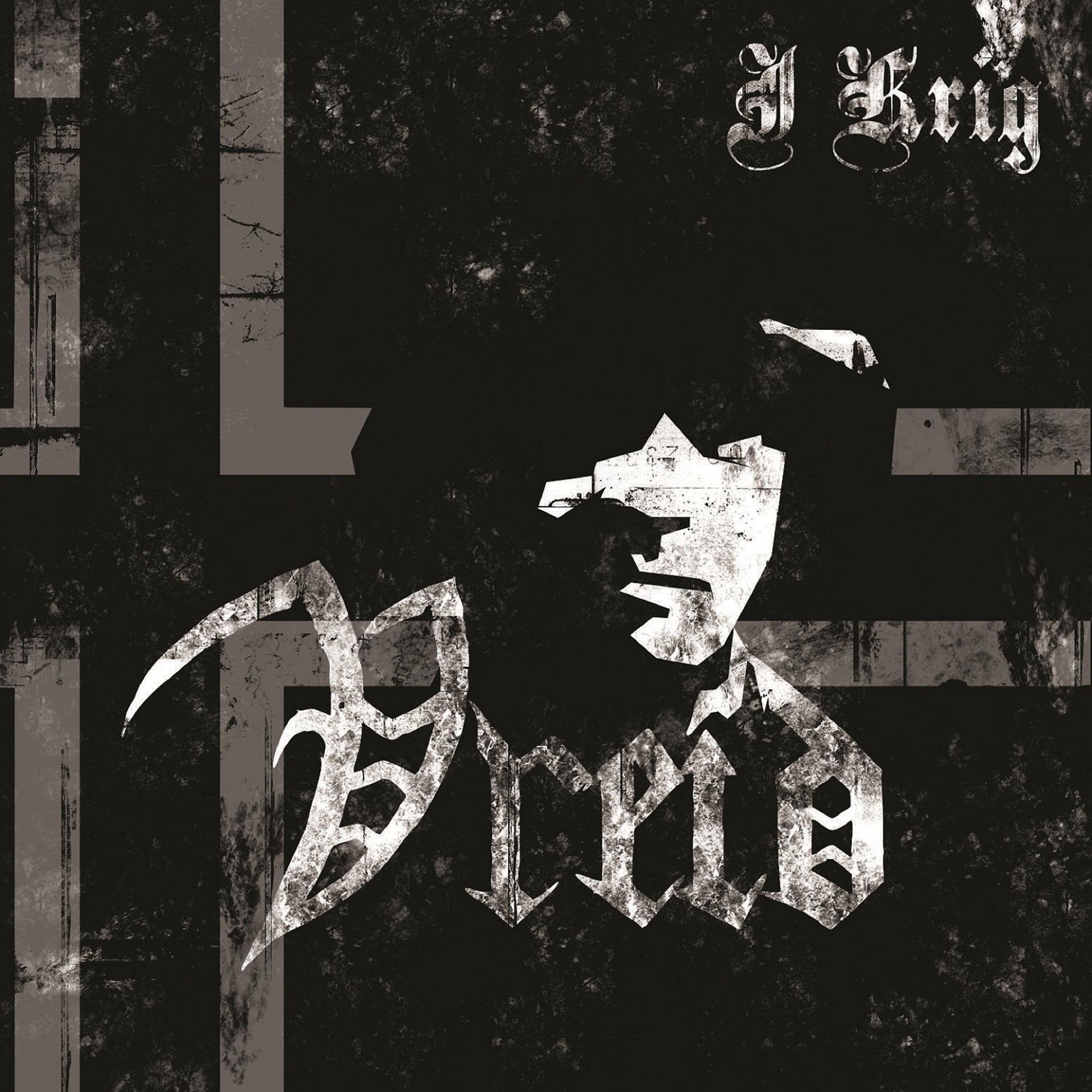 Постер альбома I Krig