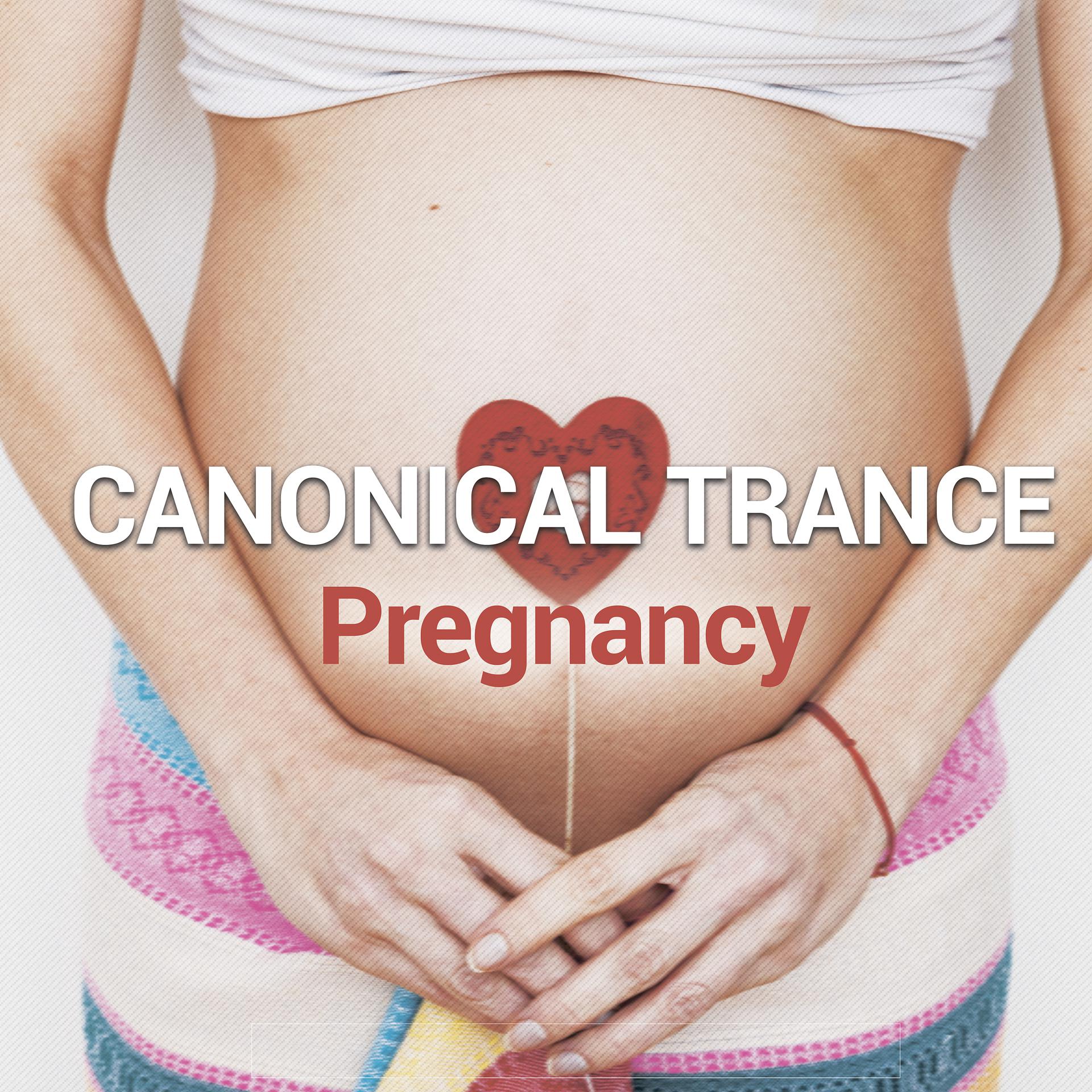Постер альбома Pregnancy