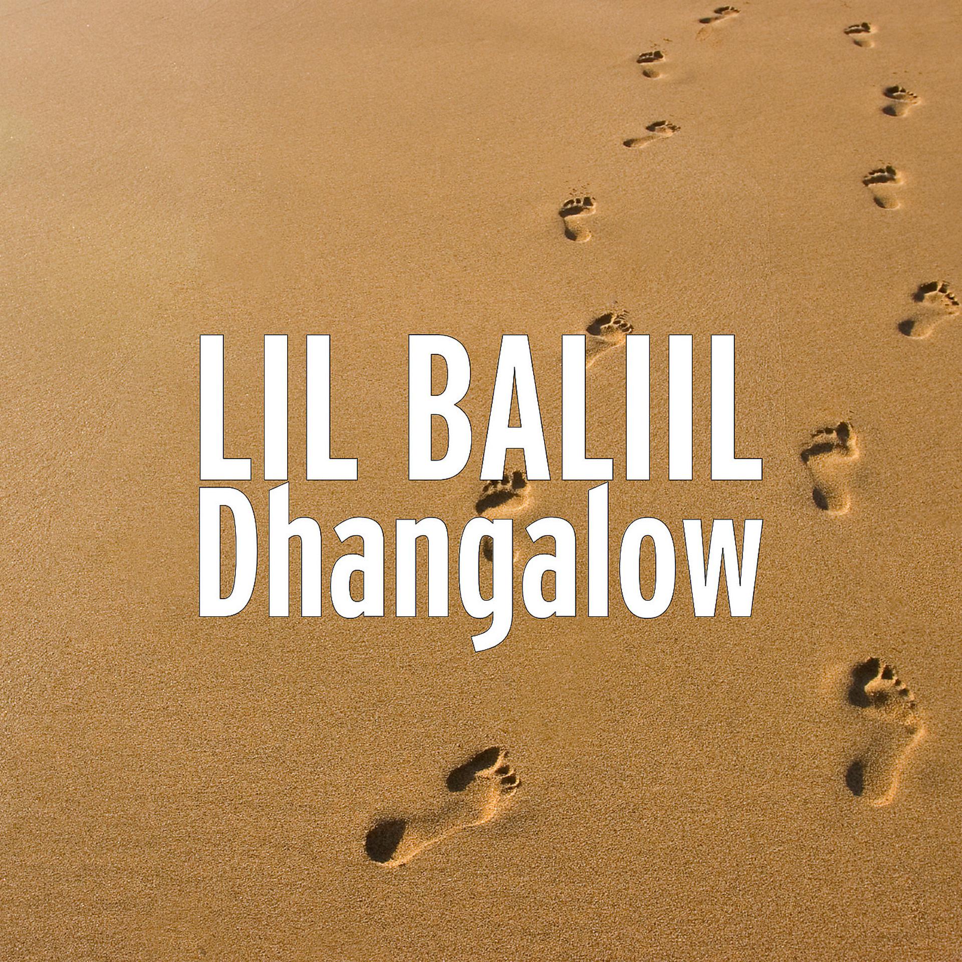 Постер альбома Dhangalow