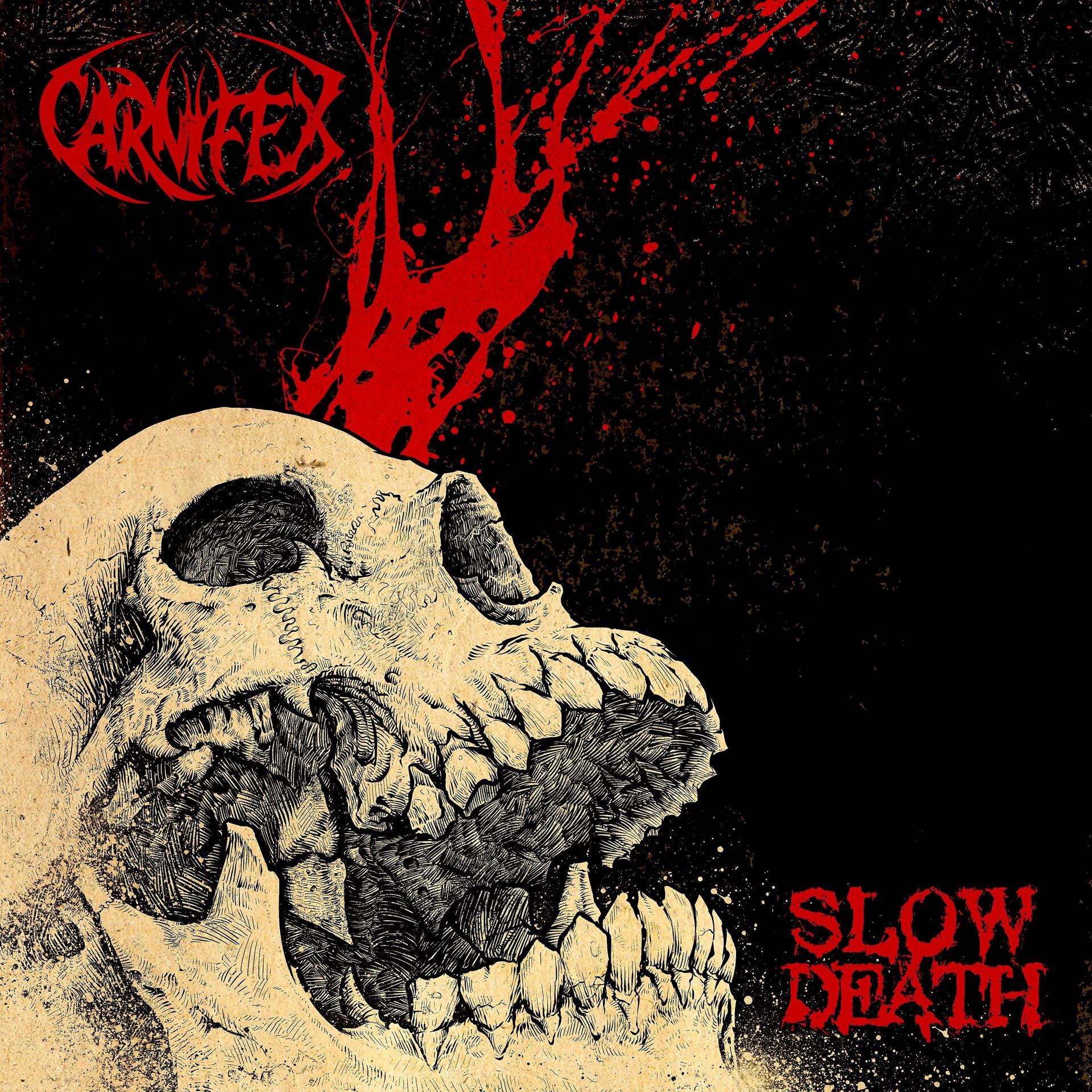 Постер альбома Slow Death