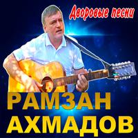 Постер альбома Дворовые песни под гитару