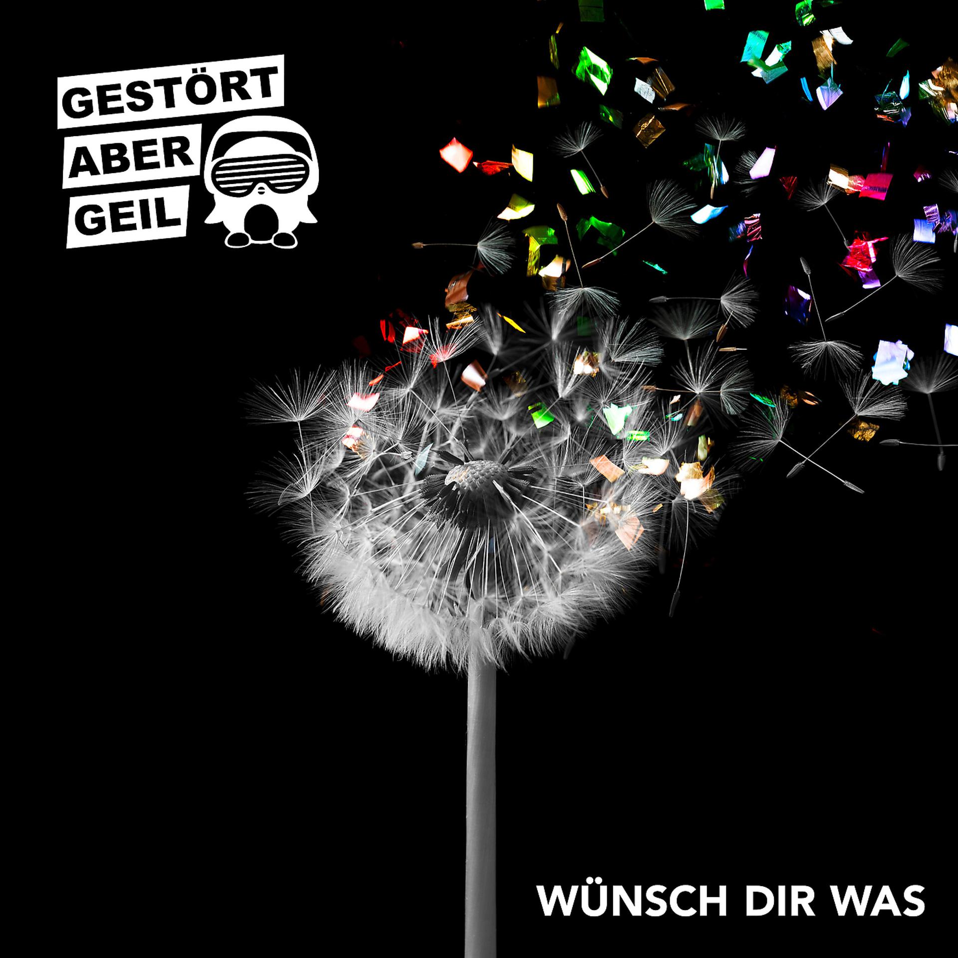 Постер альбома Wünsch Dir was