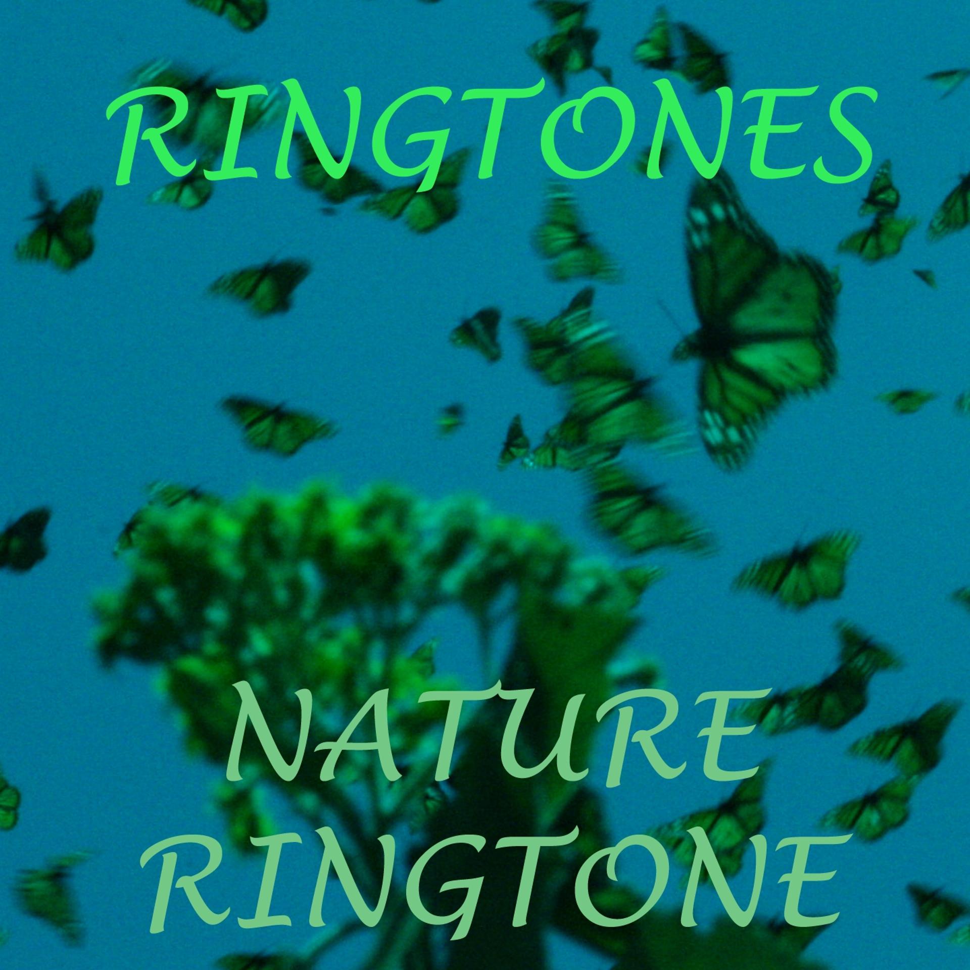 Постер альбома Nature Ringtone