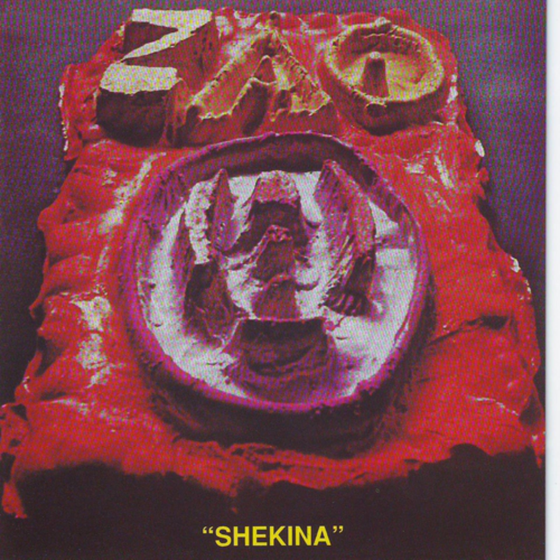 Постер альбома Shekina
