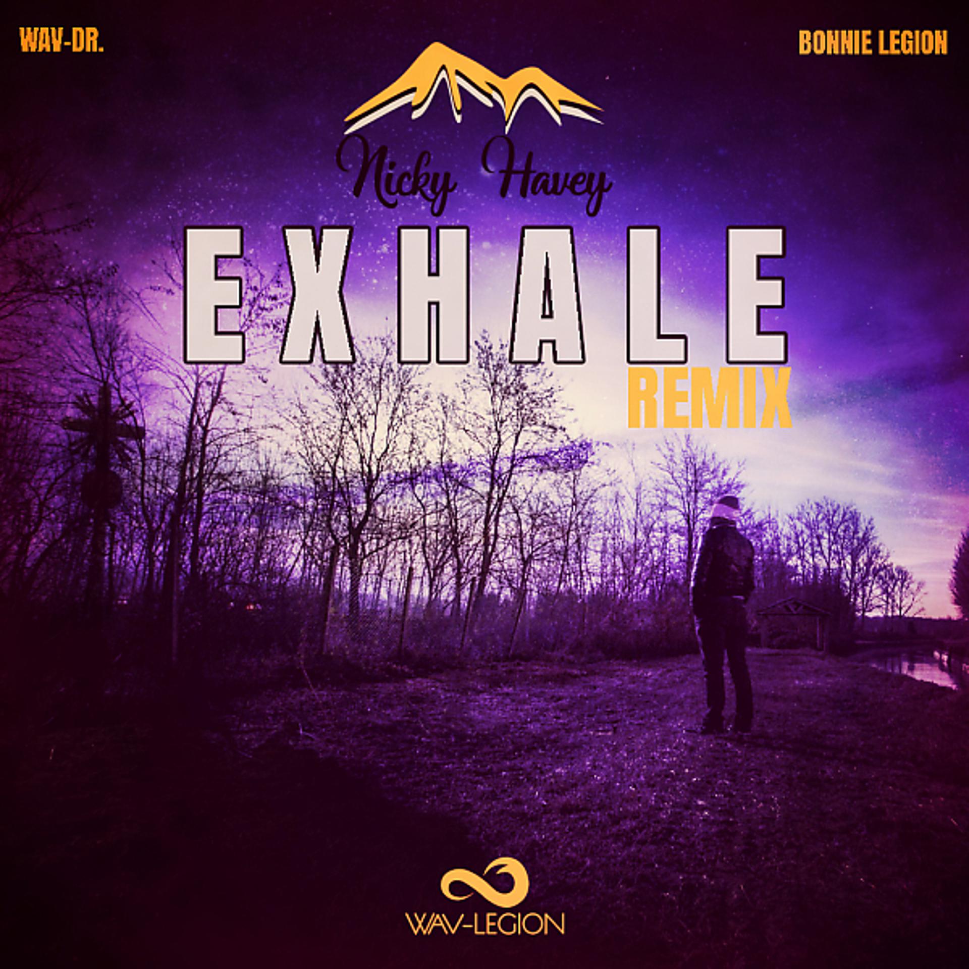 Постер альбома Exhale (Nicky Havey Remix)